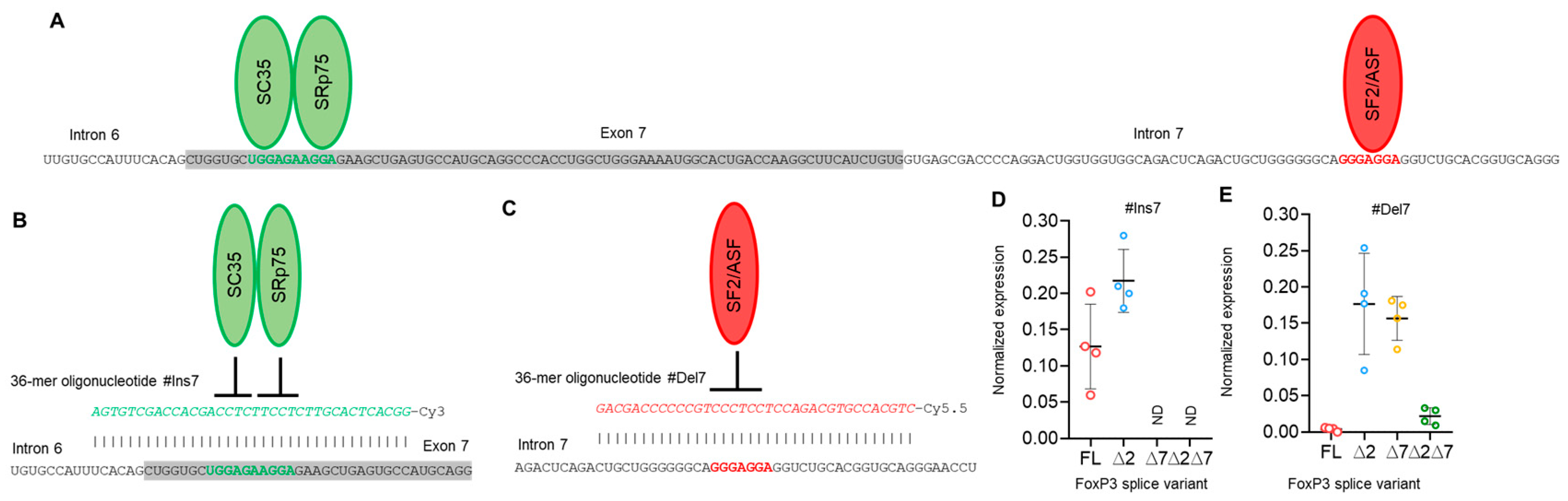 Cells 13 00077 g004