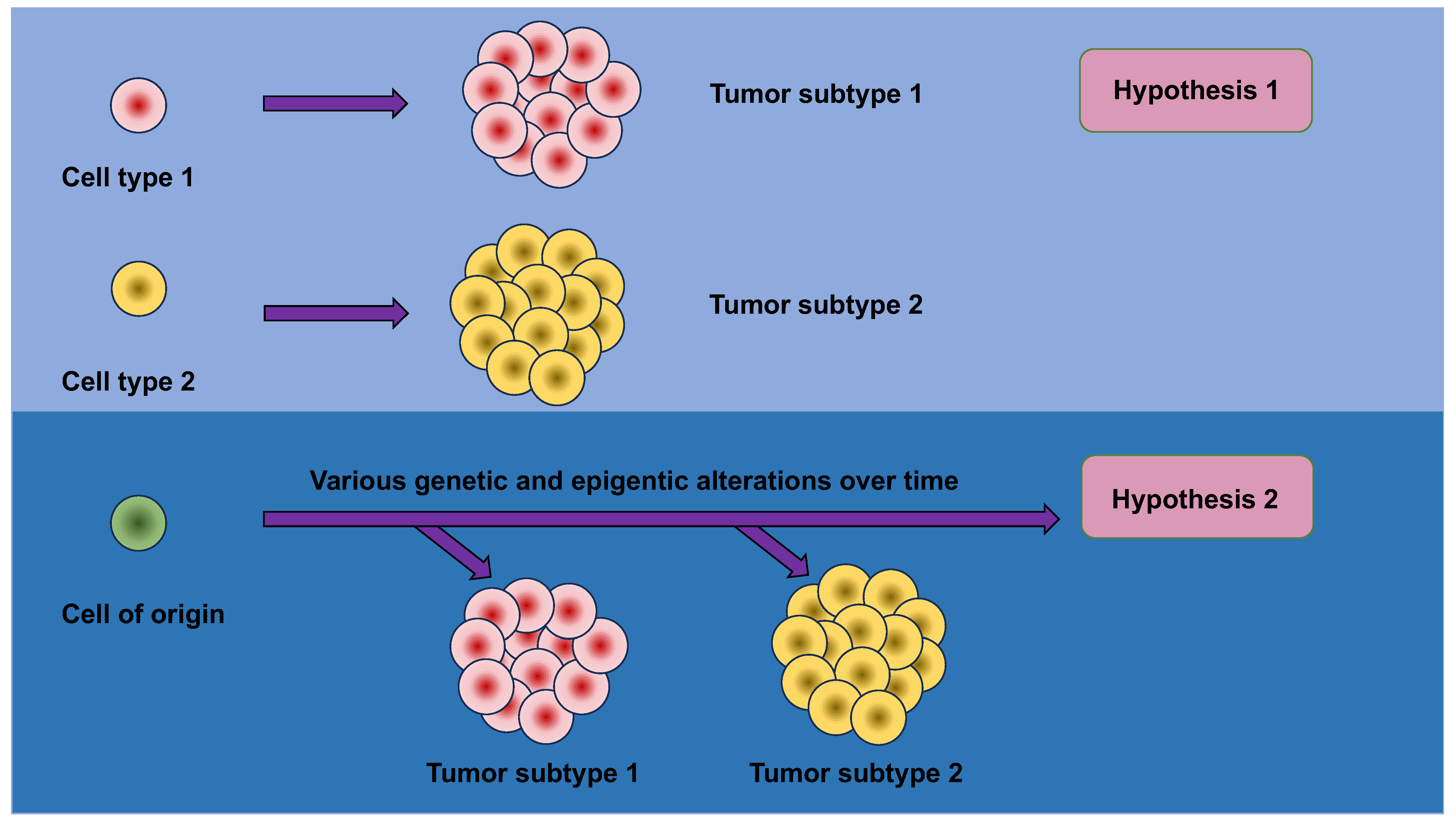 Cells 13 00096 g003 Cells 13 00096 g003