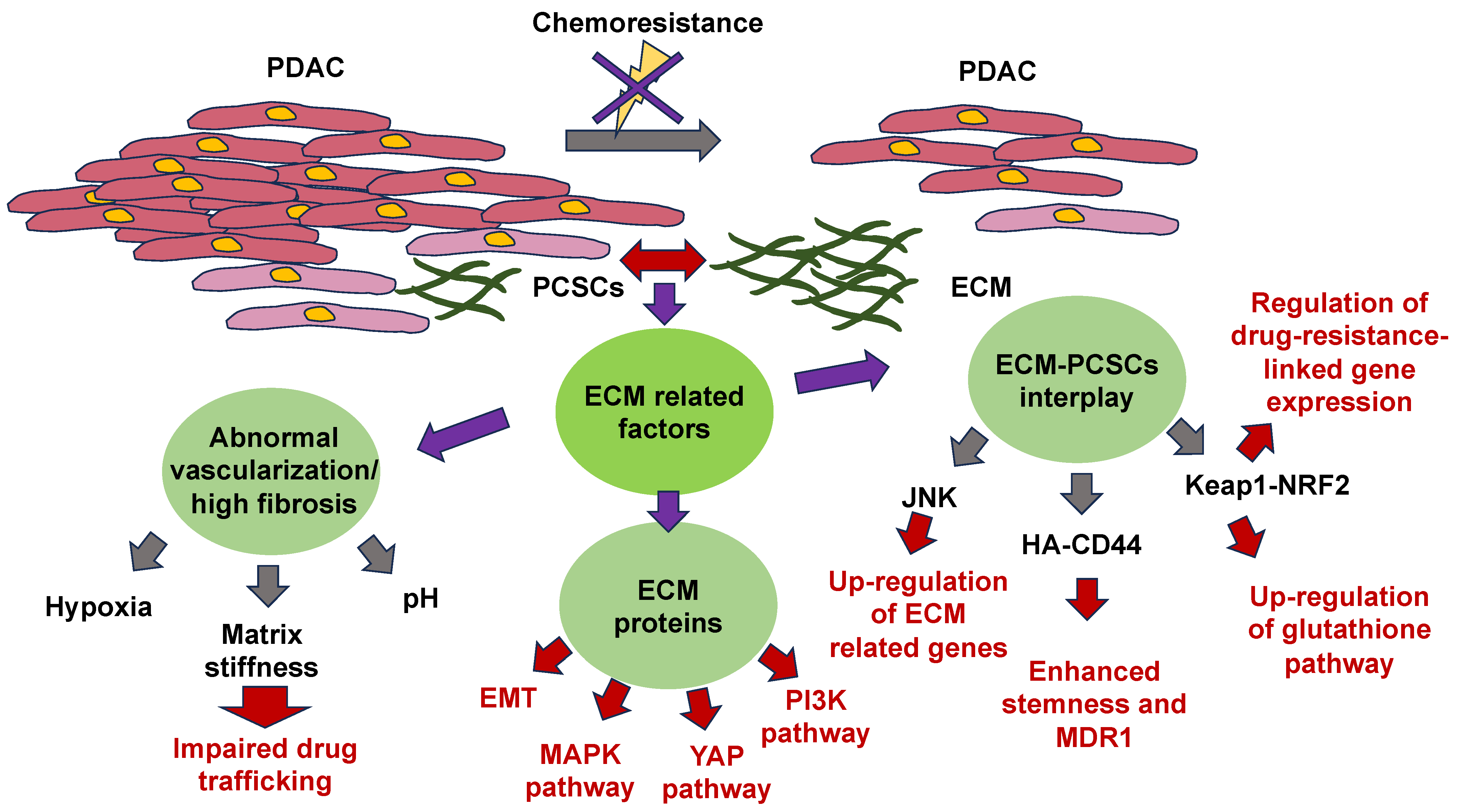 Cells 13 00096 g006 Cells 13 00096 g006