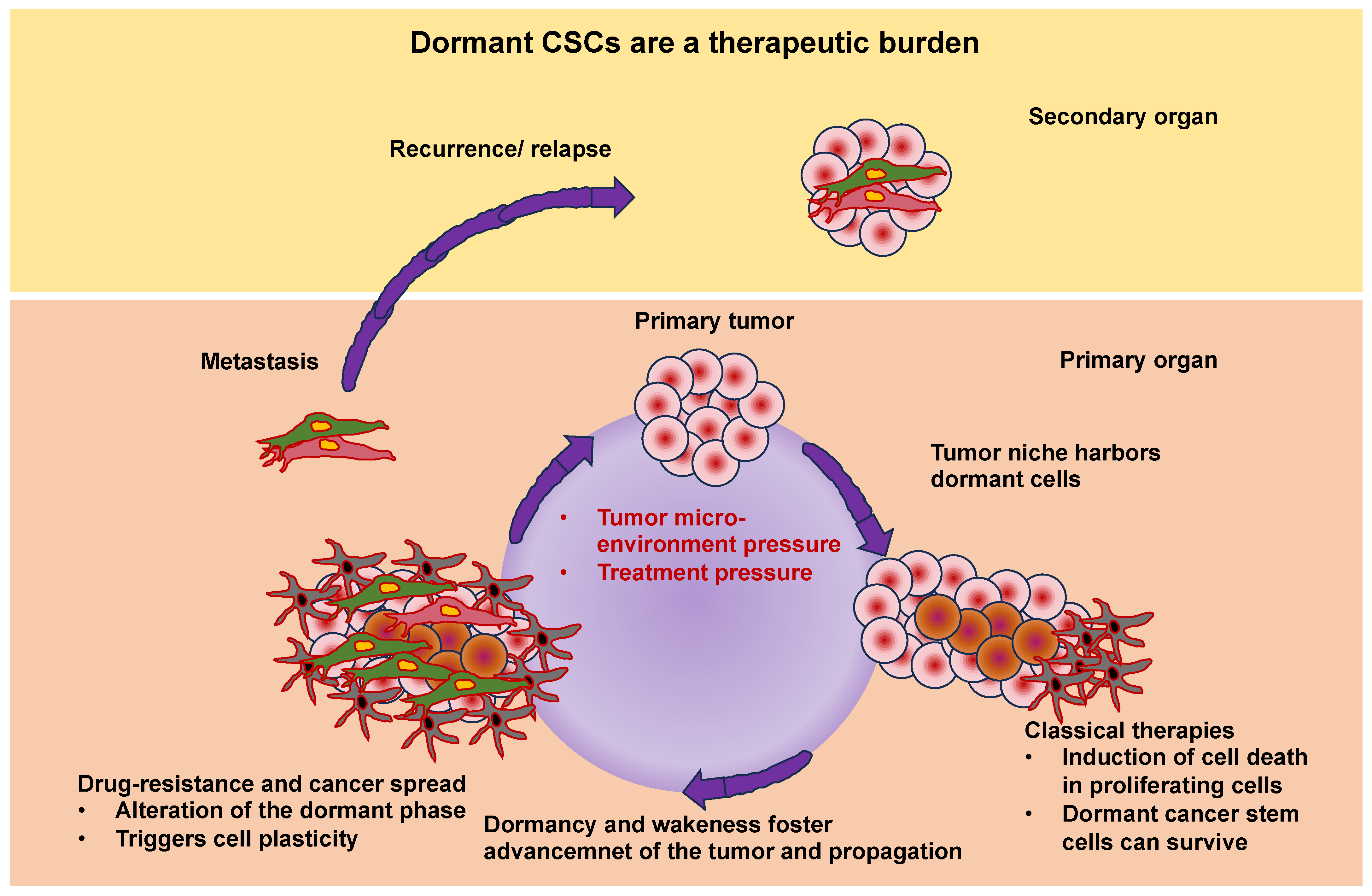 Cells 13 00096 g009 Cells 13 00096 g009