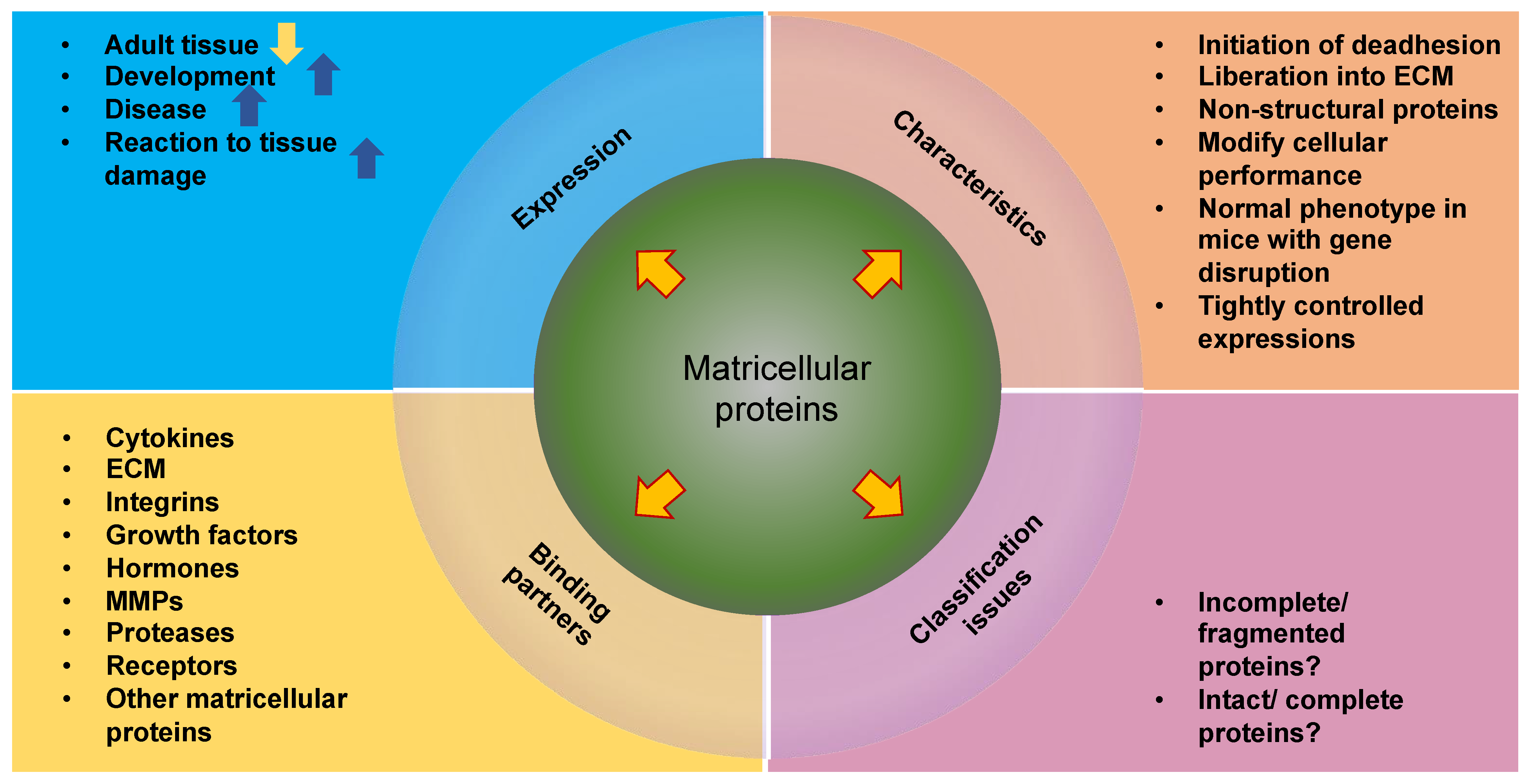 Cells 13 00096 g012 Cells 13 00096 g012