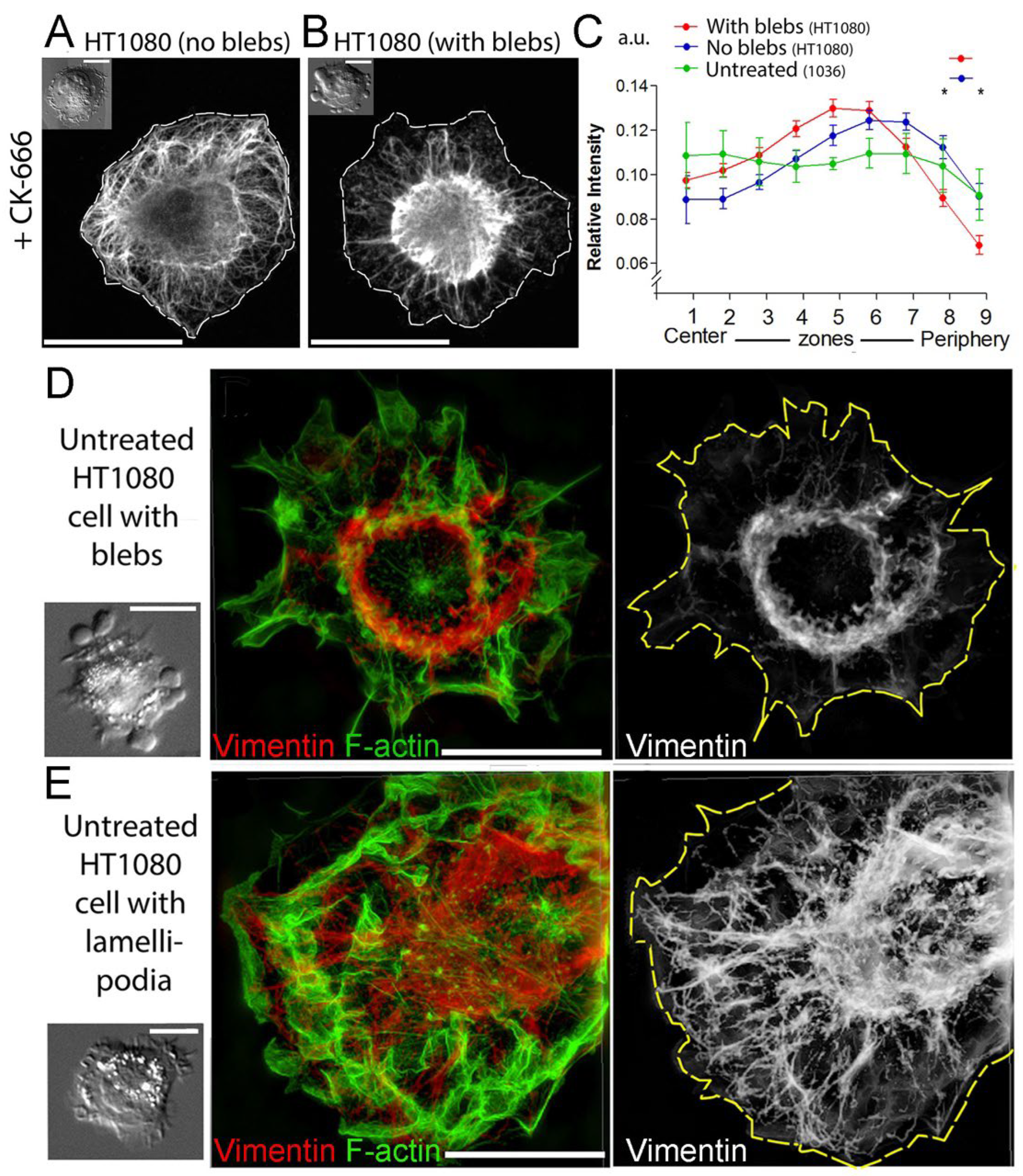 Cells 13 00105 g002 Cells 13 00105 g002