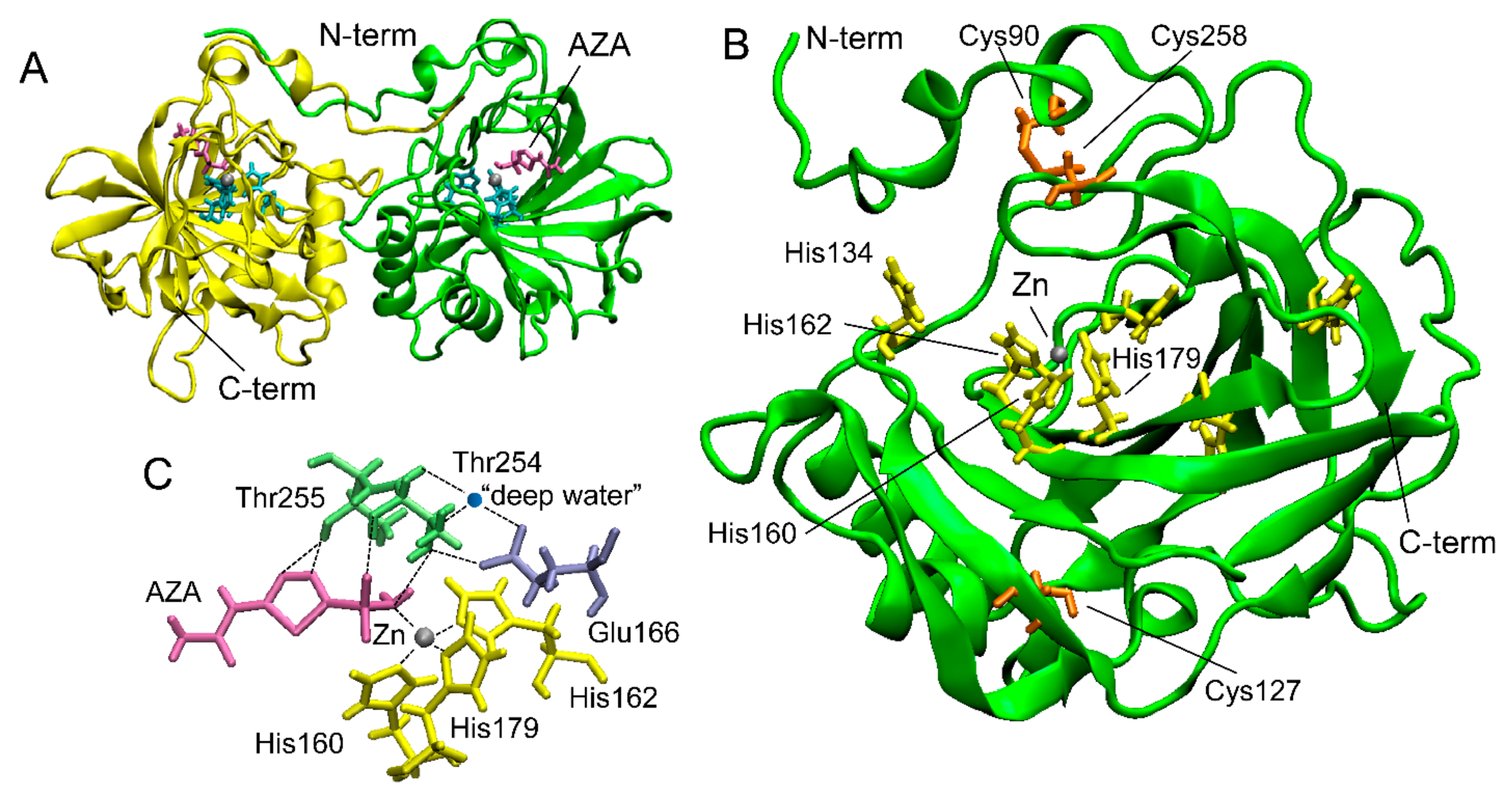 Cells 13 00109 g002 Cells 13 00109 g002