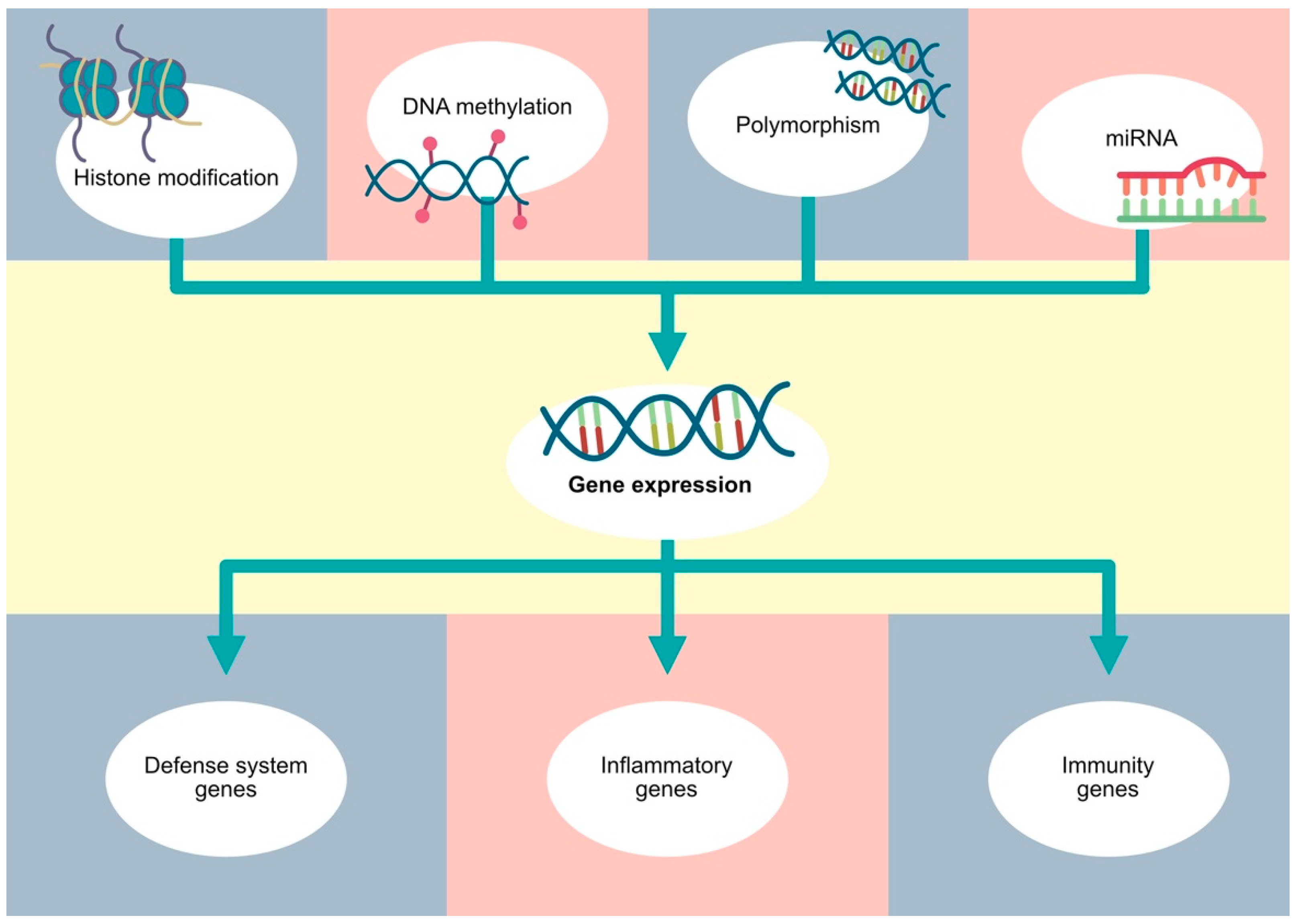 Cells 13 00117 g002 Cells 13 00117 g002