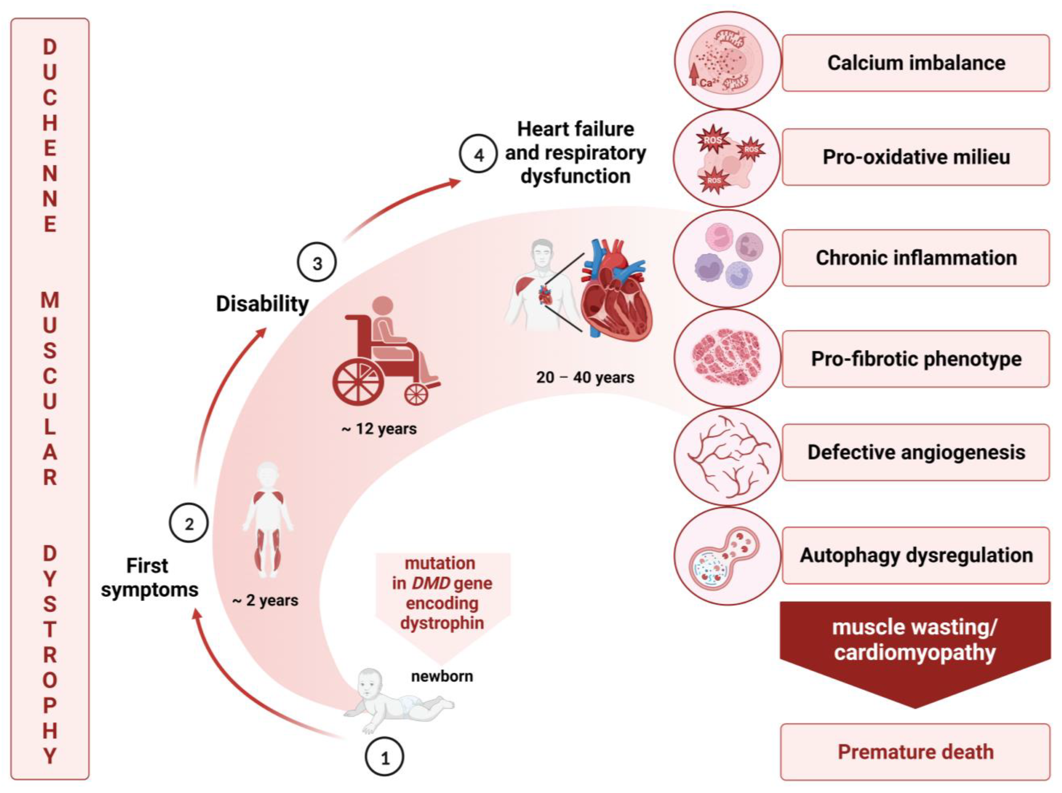 Cells | Free Full-Text | Cardioprotective Effects of Hydrogen 