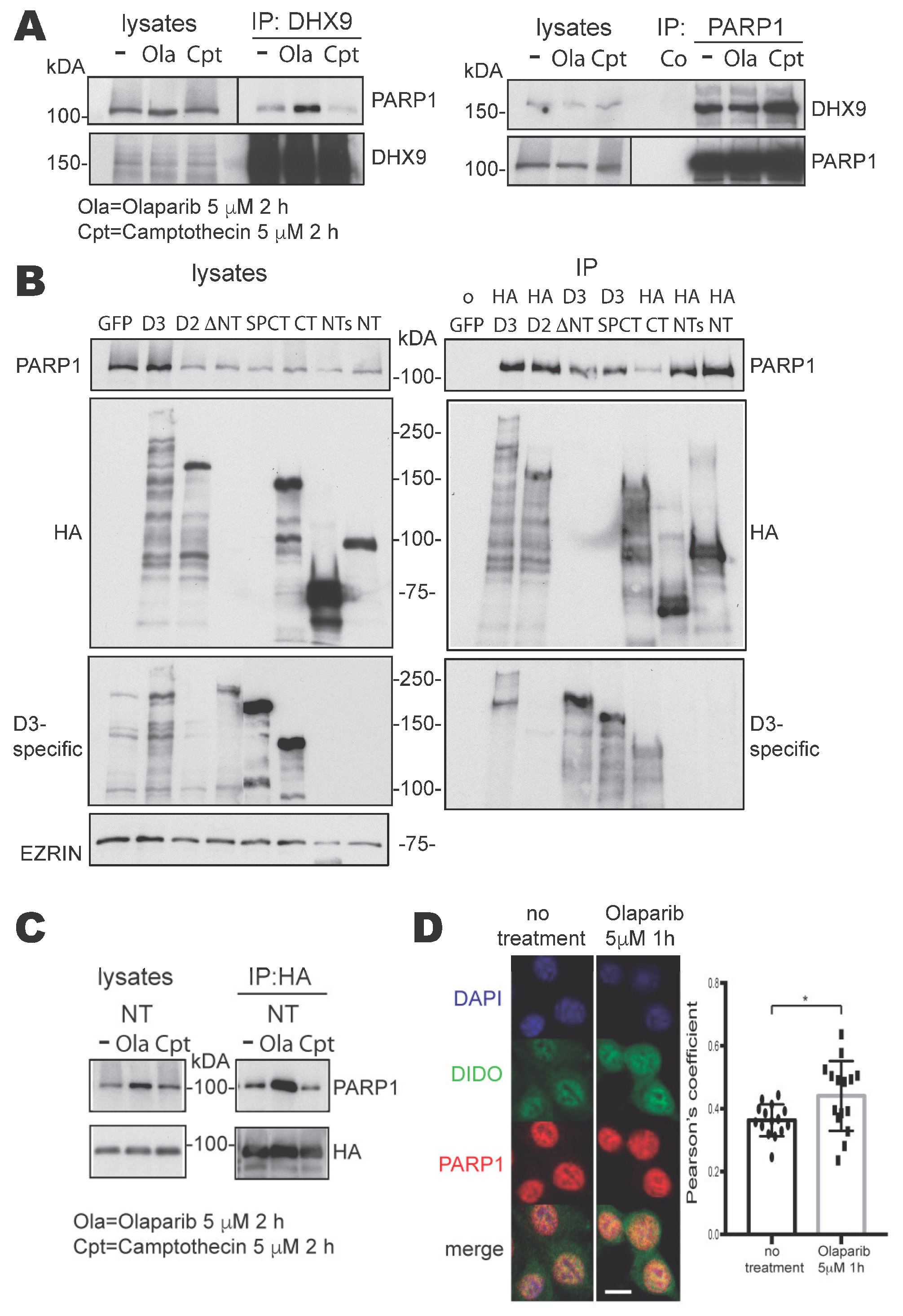Cells 13 00159 g001 Cells 13 00159 g001