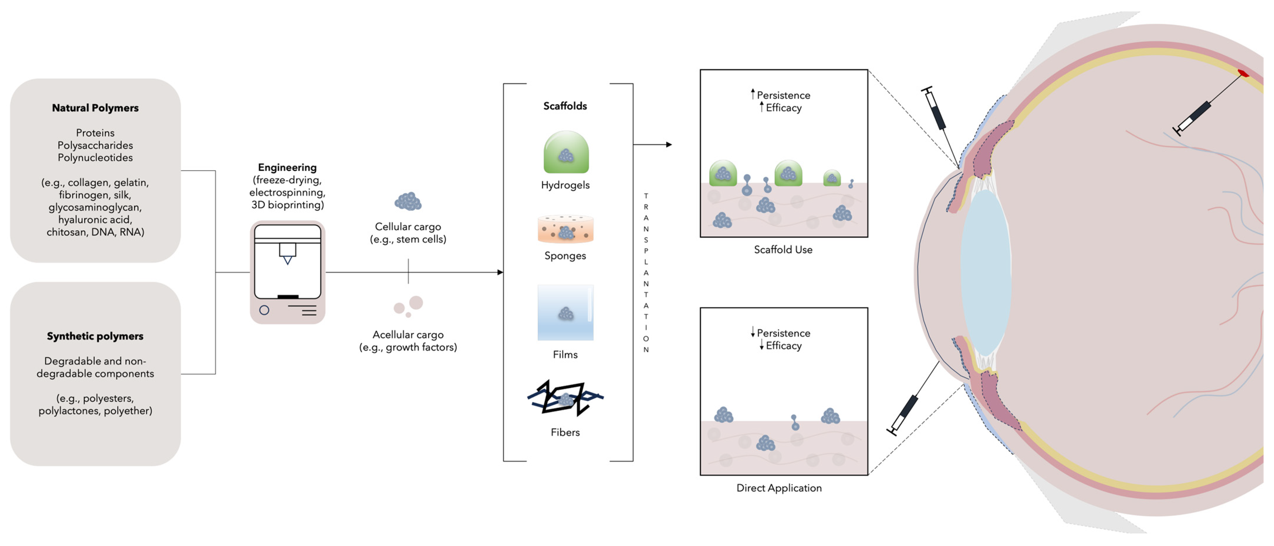 Cells 13 00179 g003 Cells 13 00179 g003