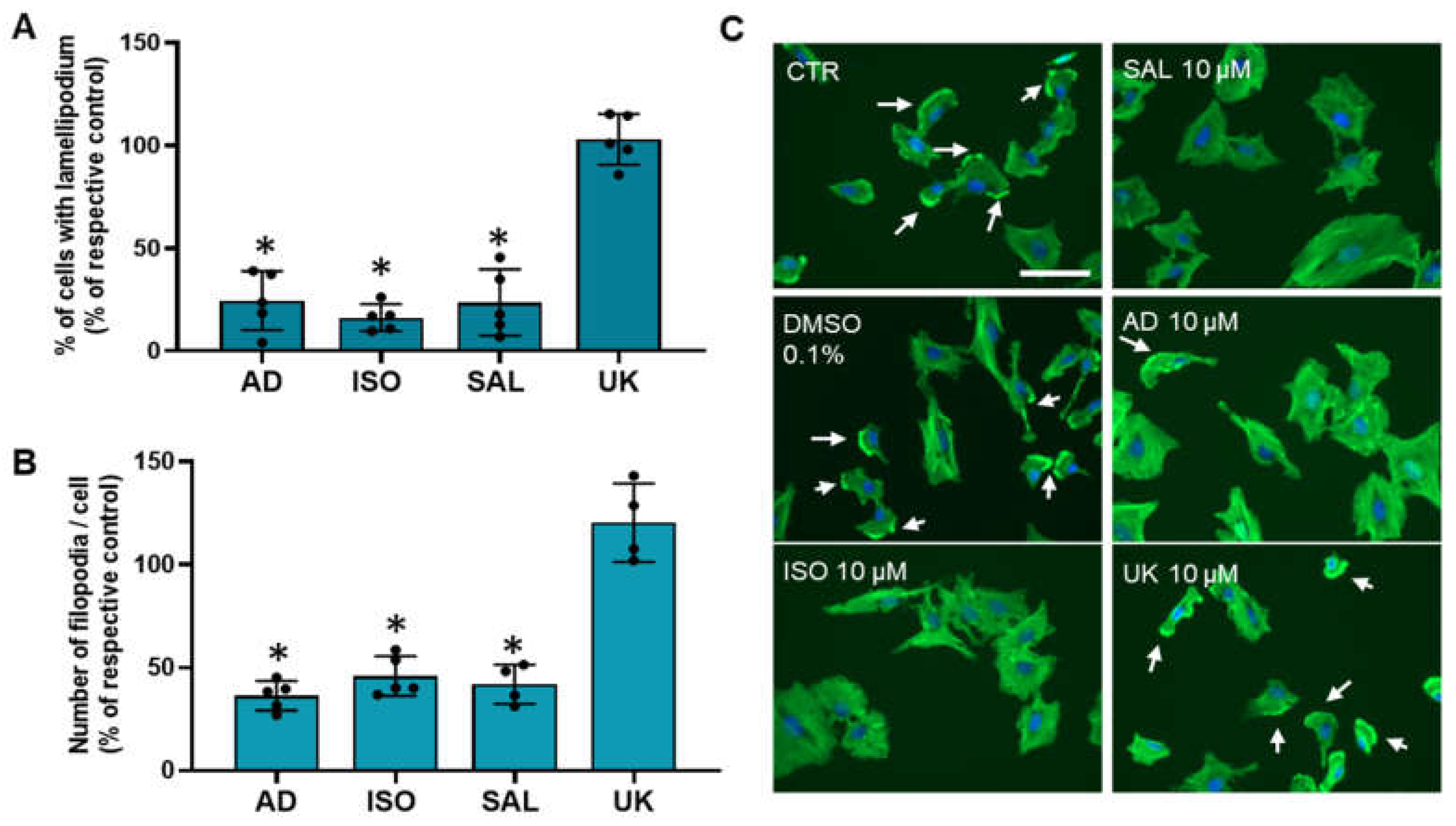 Cells 13 00262 g006 Cells 13 00262 g006