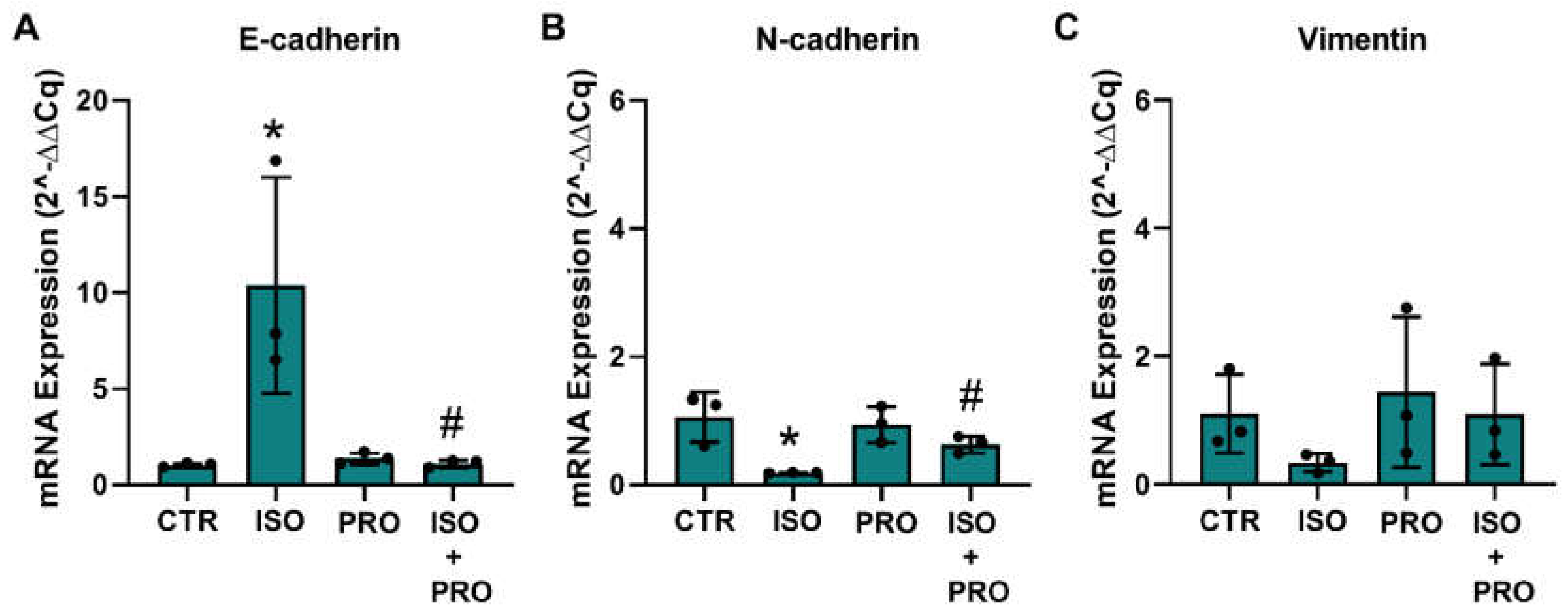 Cells 13 00262 g007 Cells 13 00262 g007