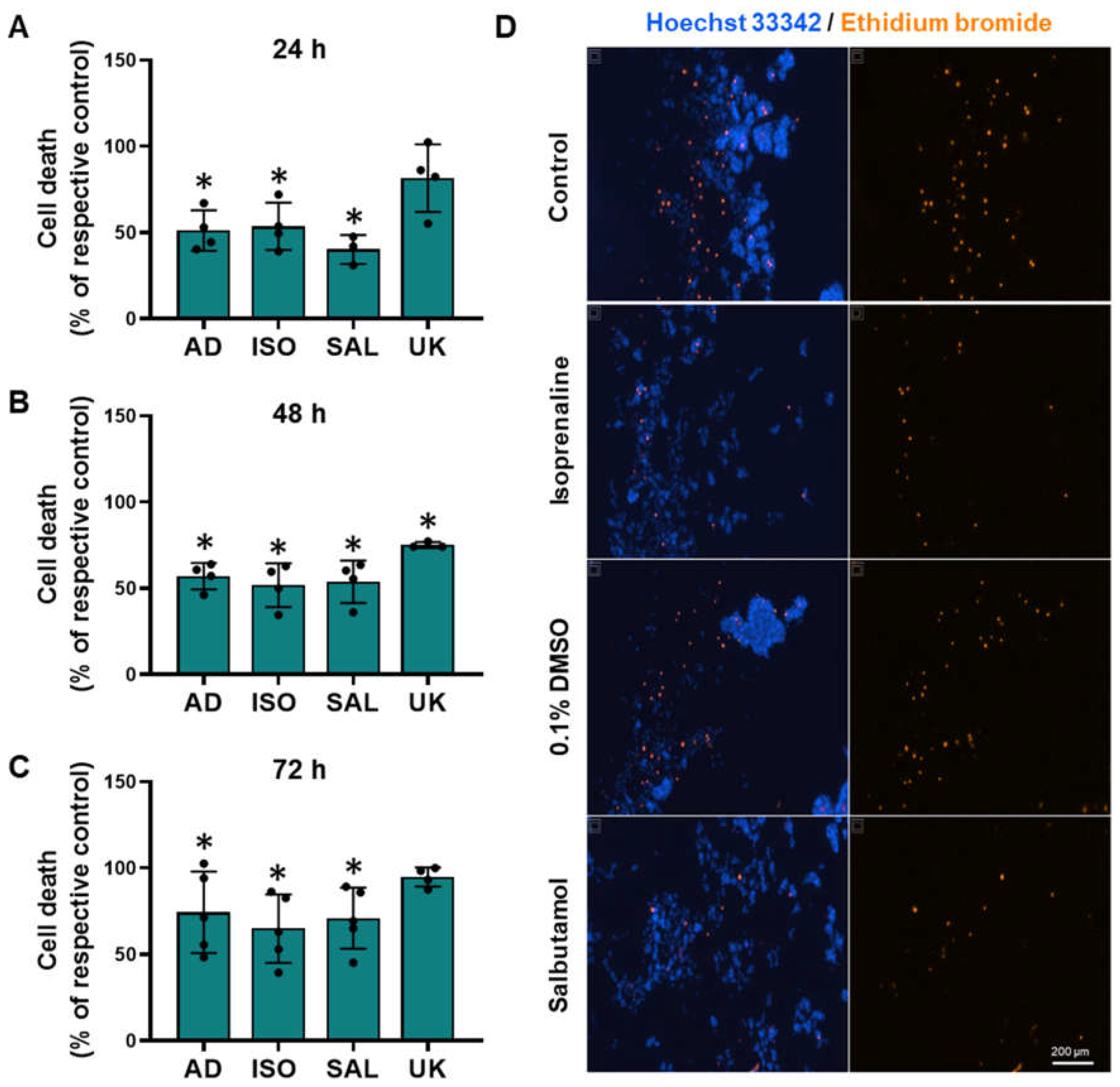 Cells 13 00262 g009 Cells 13 00262 g009