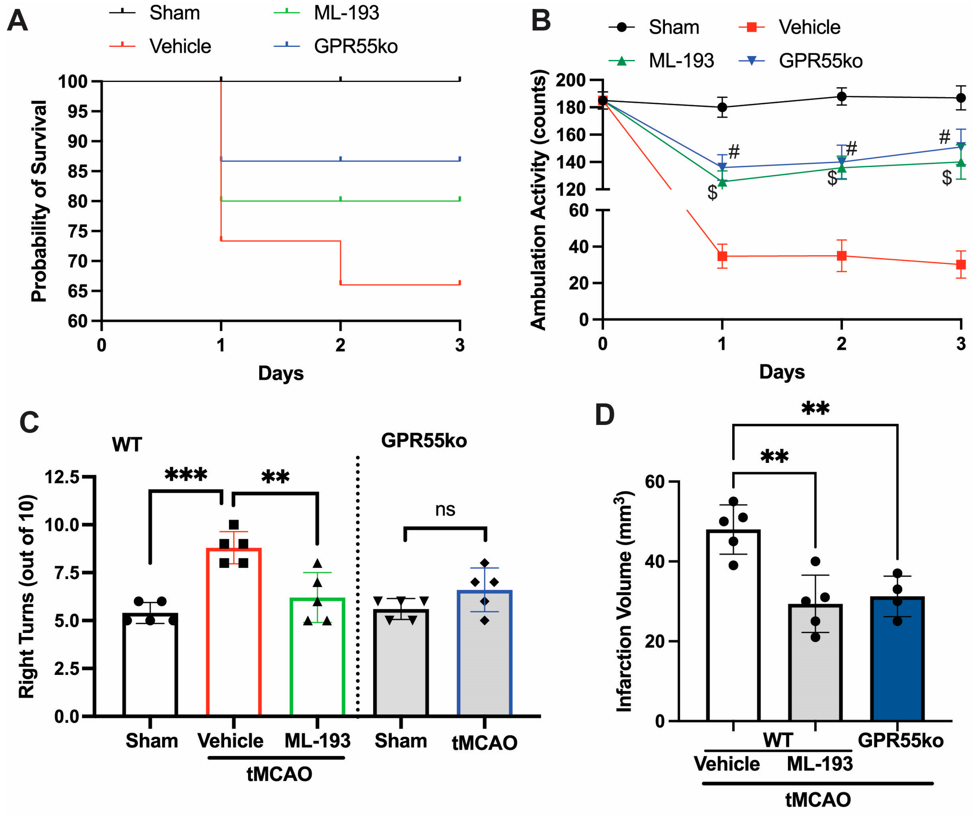 Cells 13 00280 g001 Cells 13 00280 g001