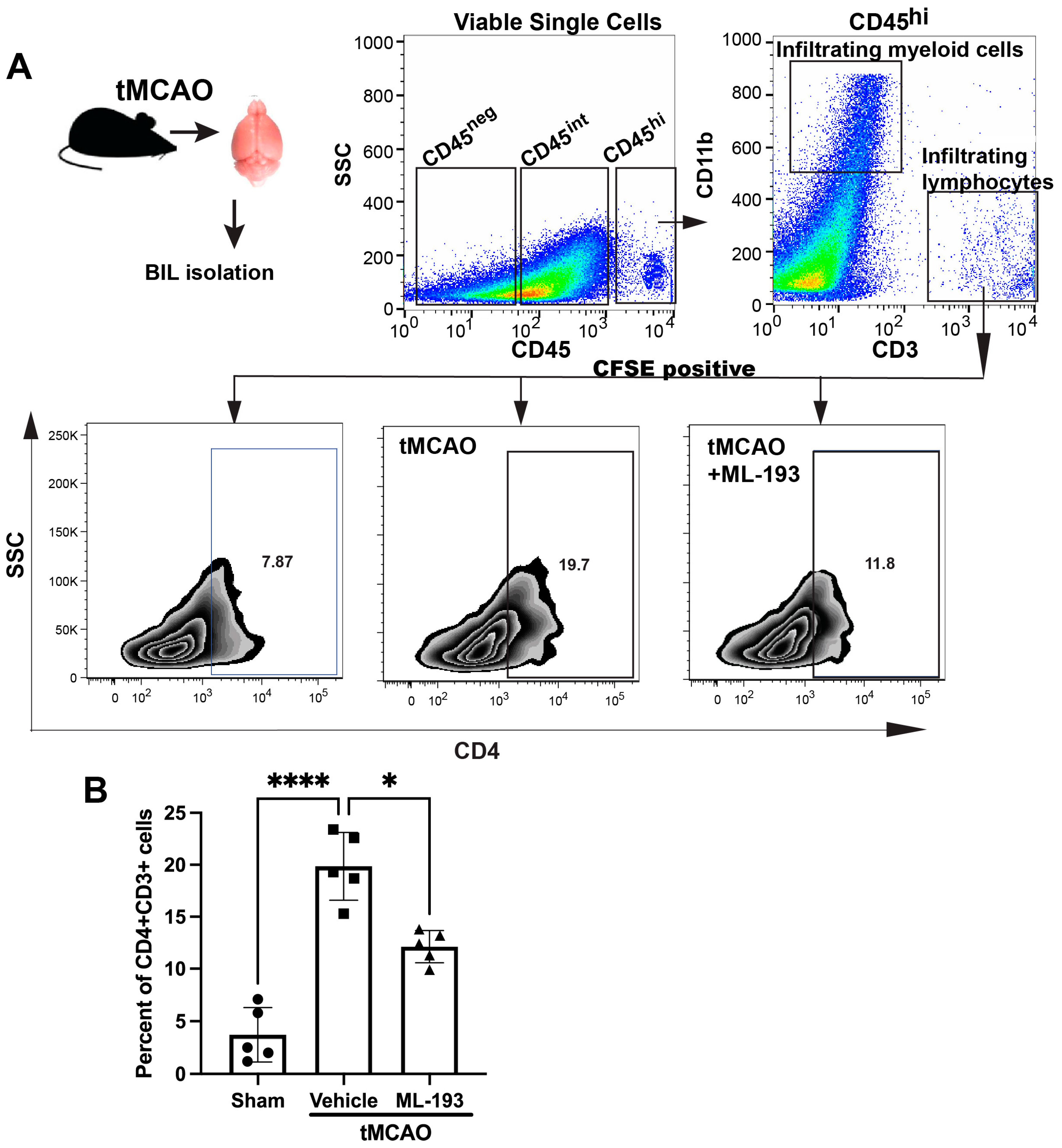 Cells 13 00280 g003 Cells 13 00280 g003
