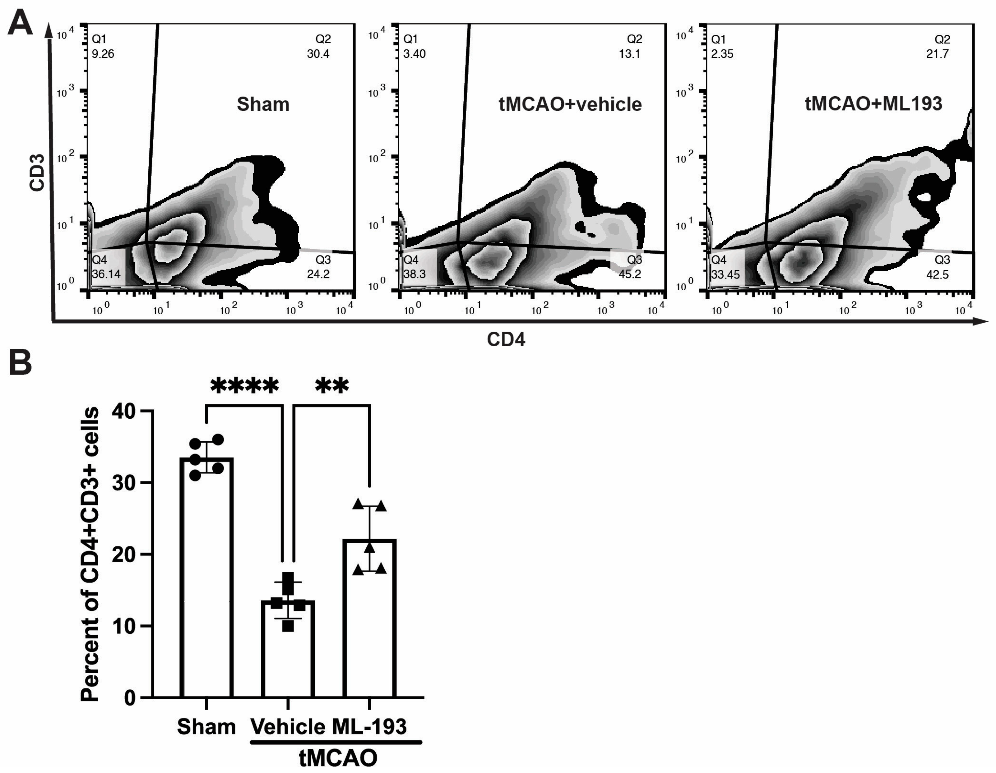 Cells 13 00280 g004 Cells 13 00280 g004