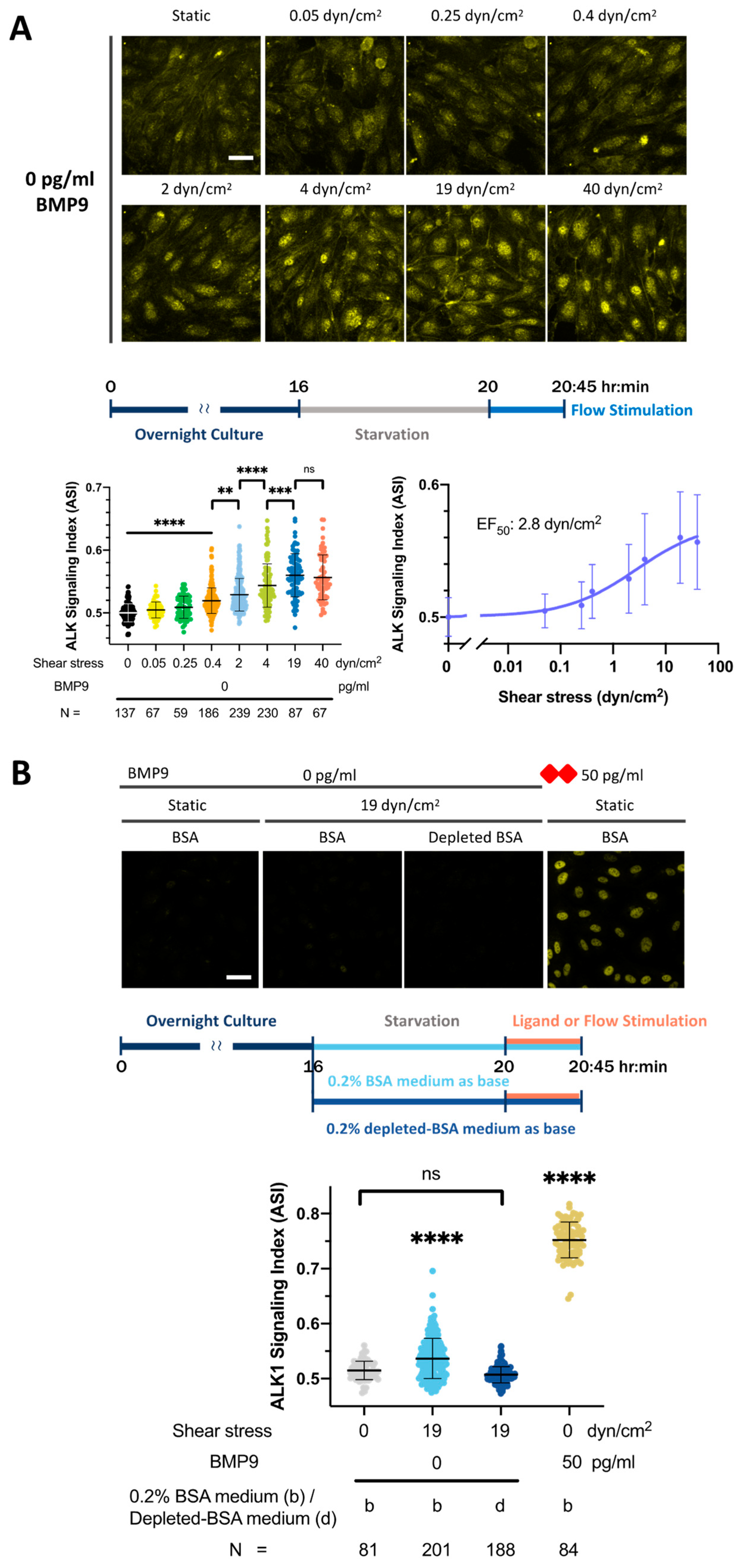 Cells 13 00285 g003 Cells 13 00285 g003