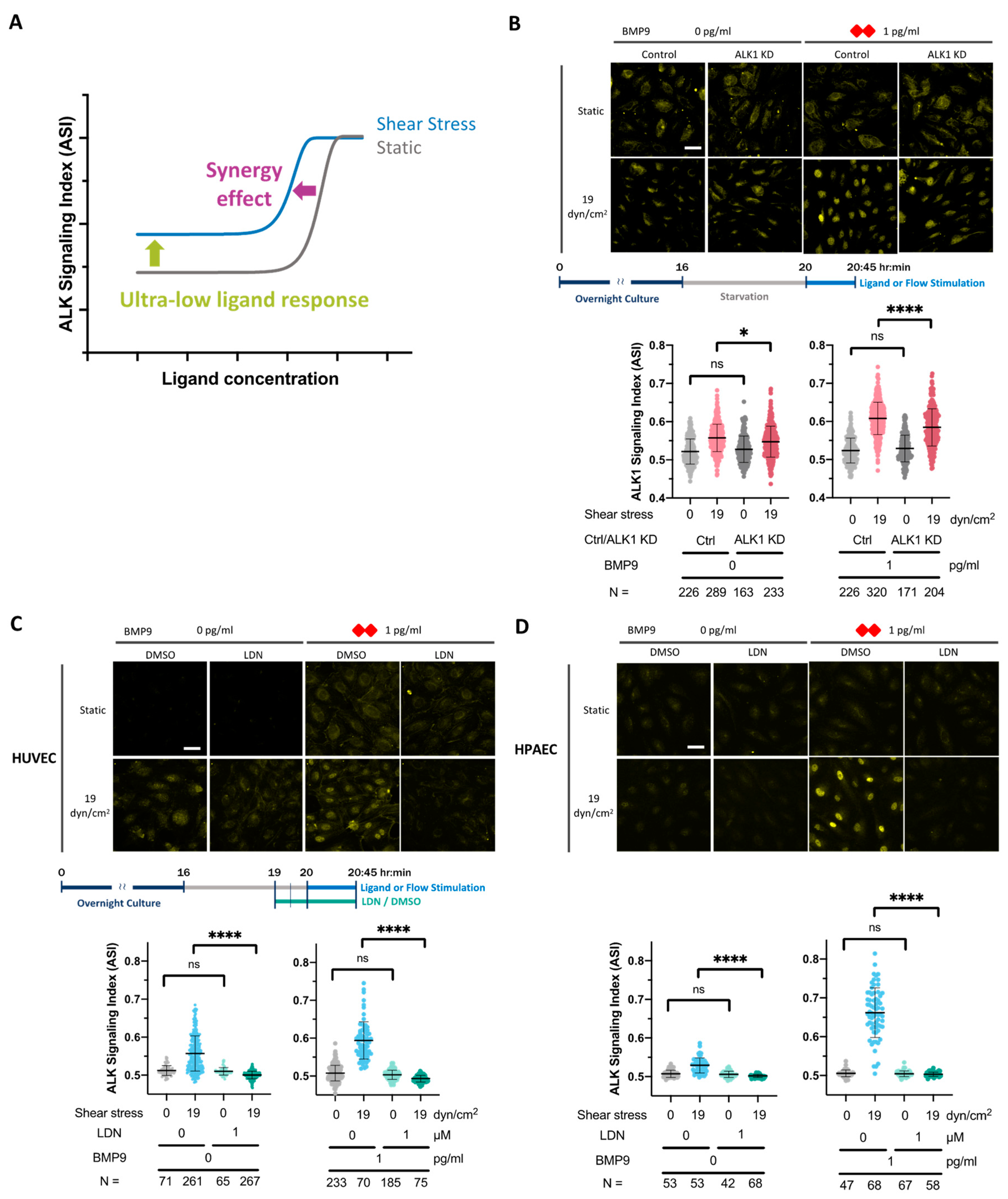 Cells 13 00285 g004 Cells 13 00285 g004