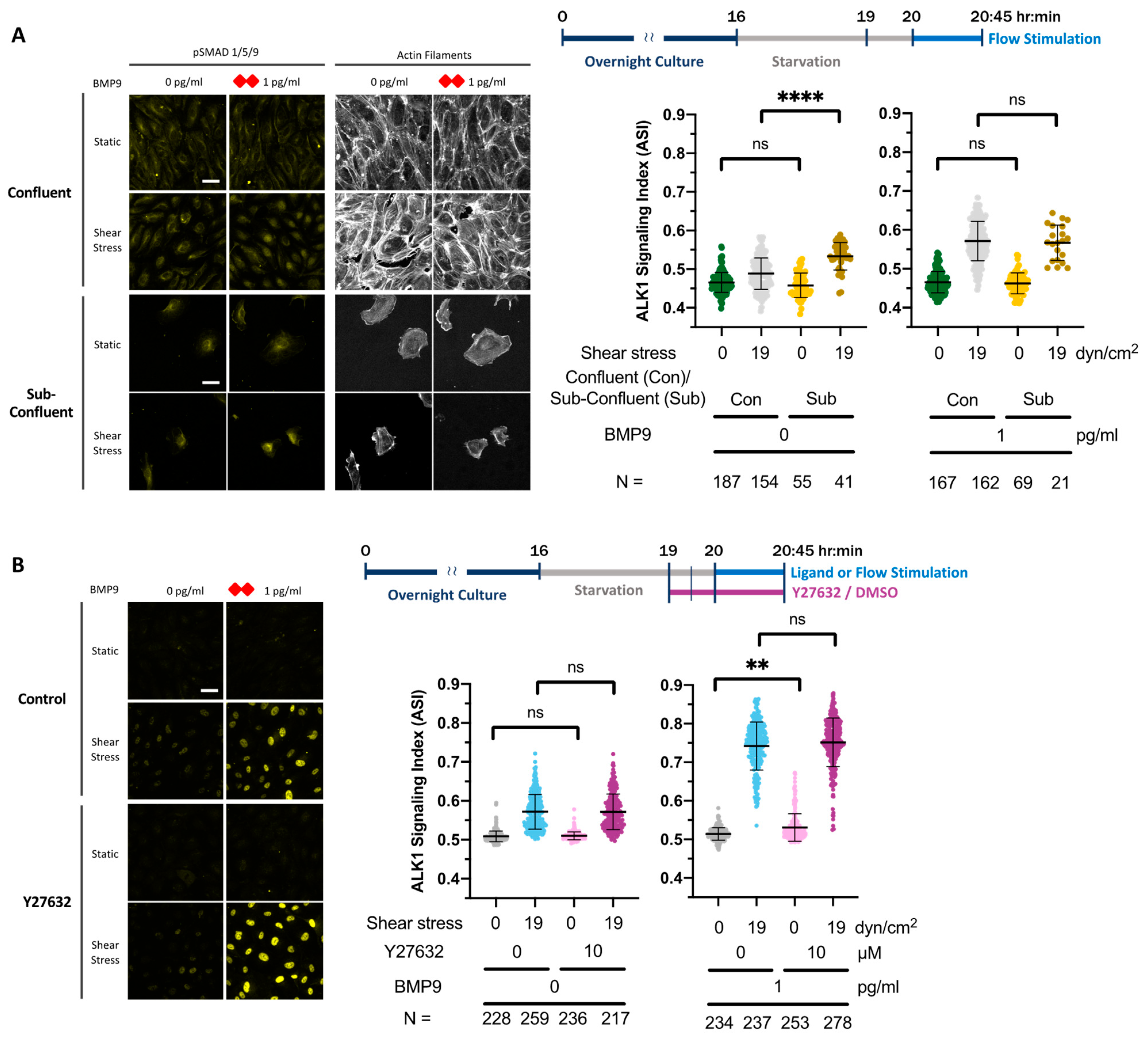 Cells 13 00285 g005a Cells 13 00285 g005a
