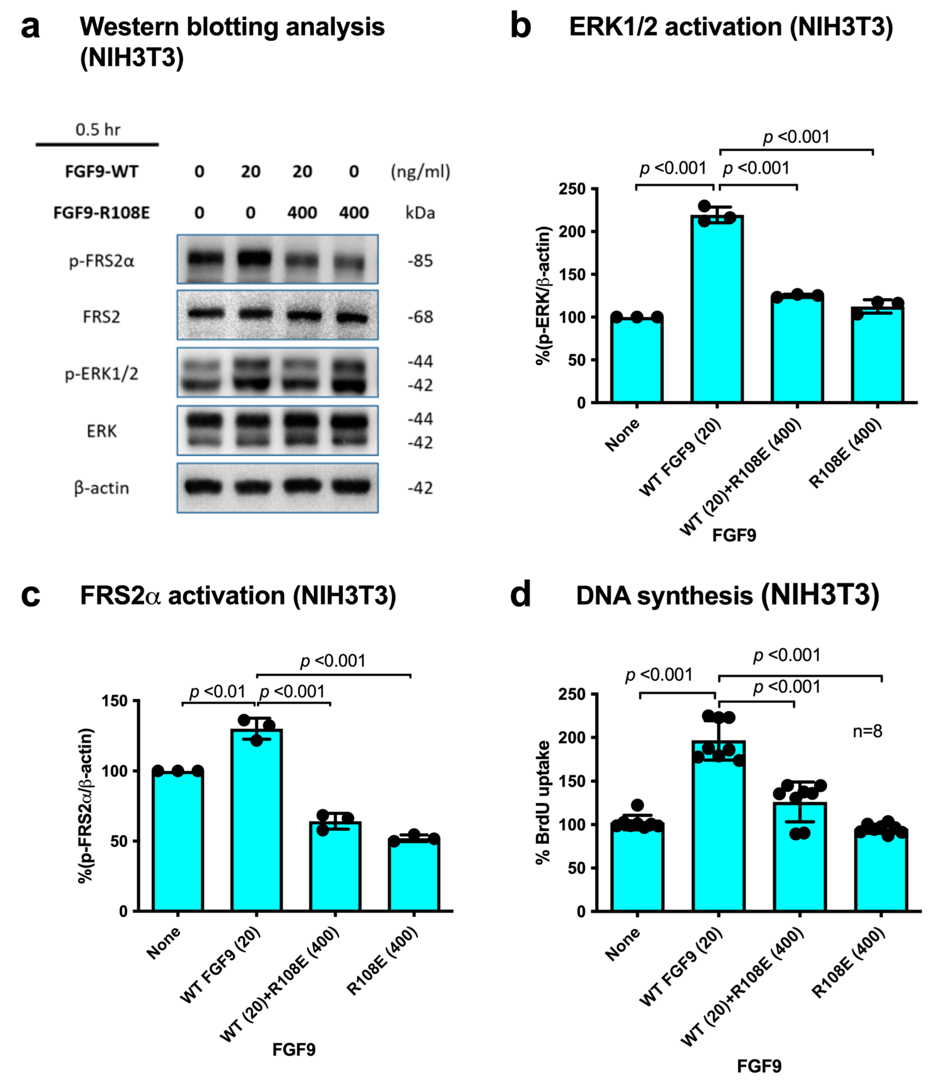 Cells 13 00307 g005