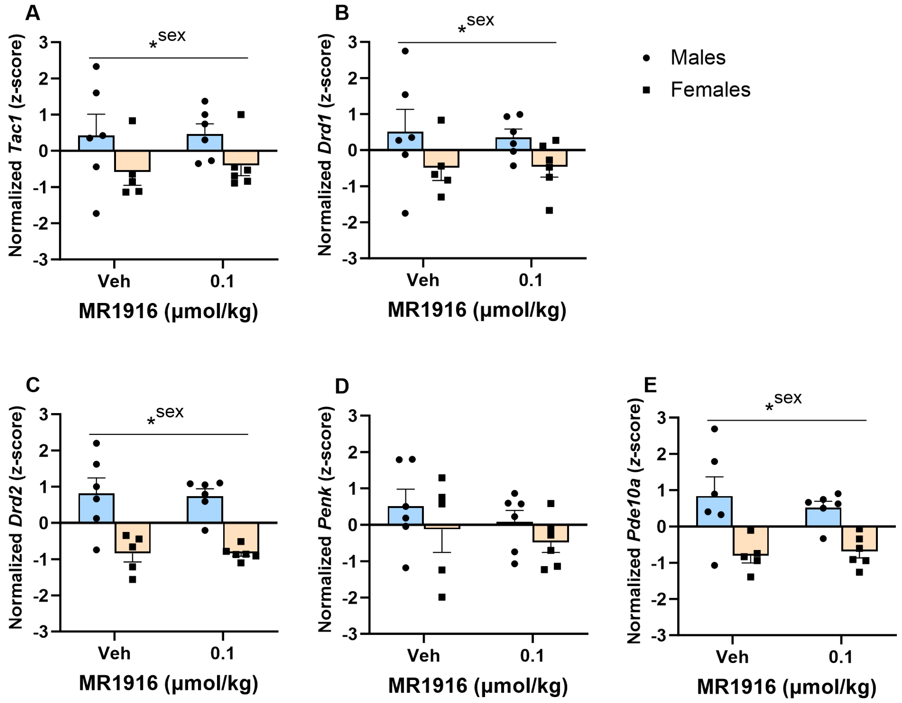 Cells 13 00321 g005 Cells 13 00321 g005
