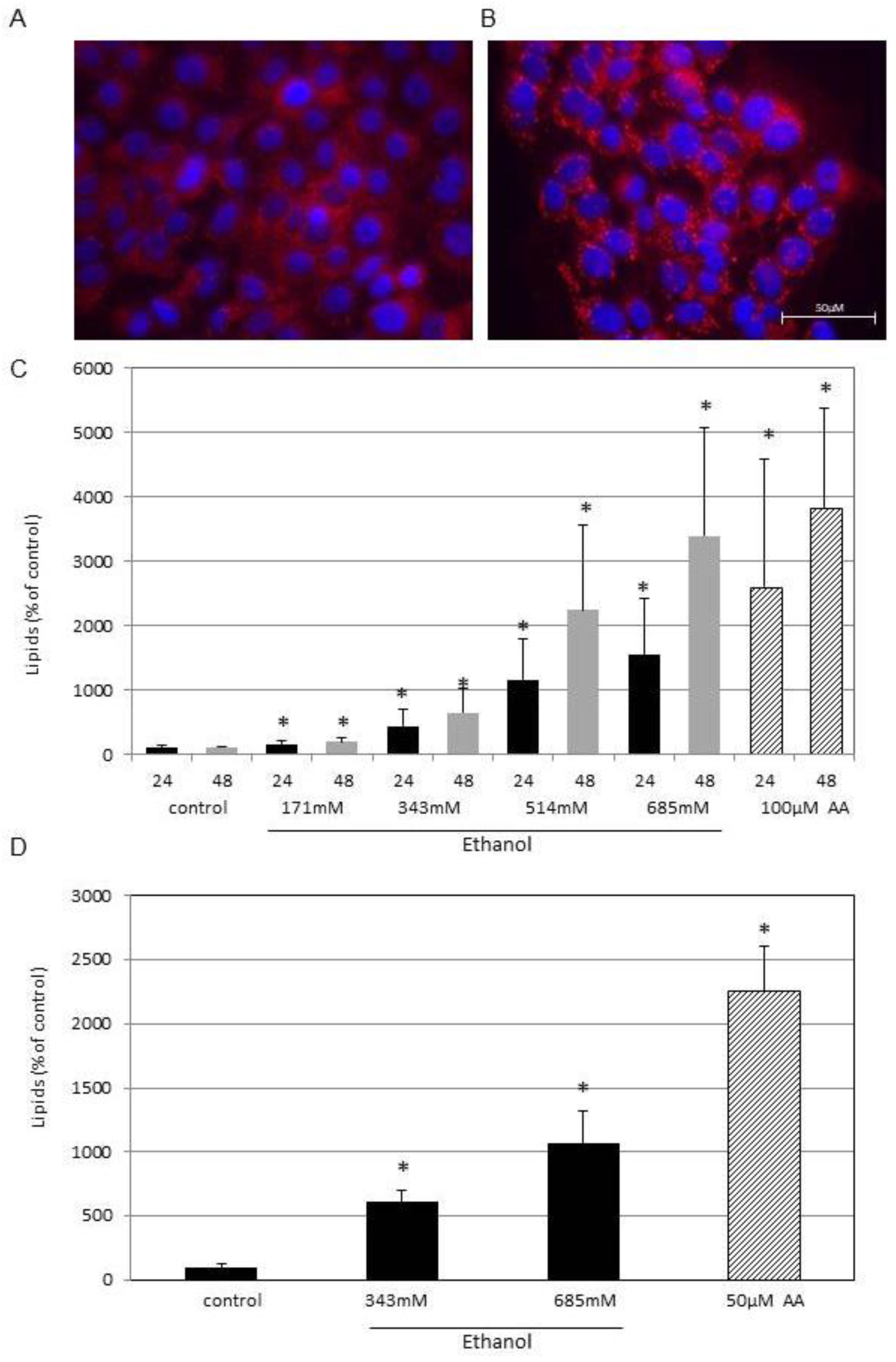 Cells 13 00328 g001 Cells 13 00328 g001
