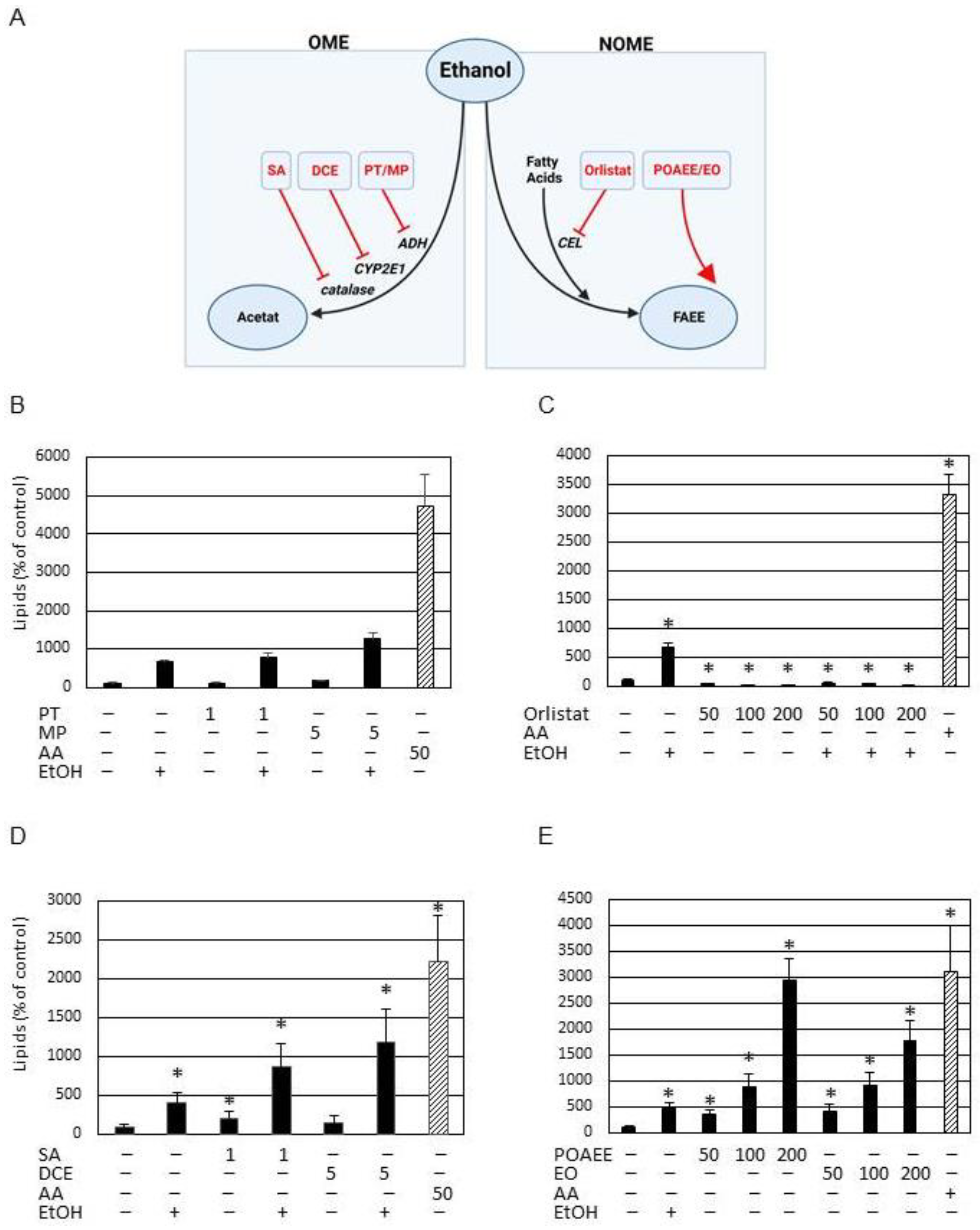 Cells 13 00328 g004 Cells 13 00328 g004