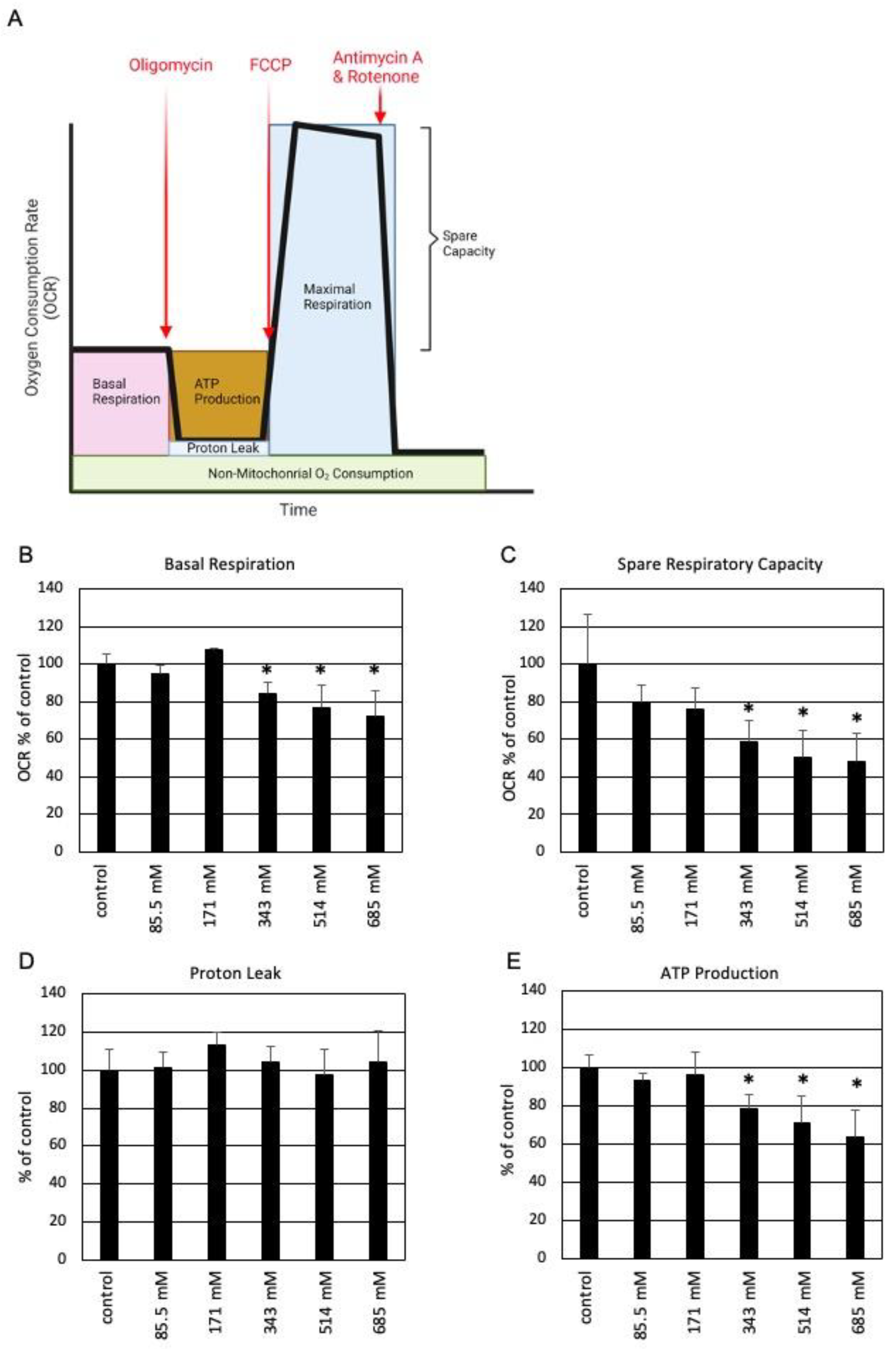 Cells 13 00328 g006 Cells 13 00328 g006