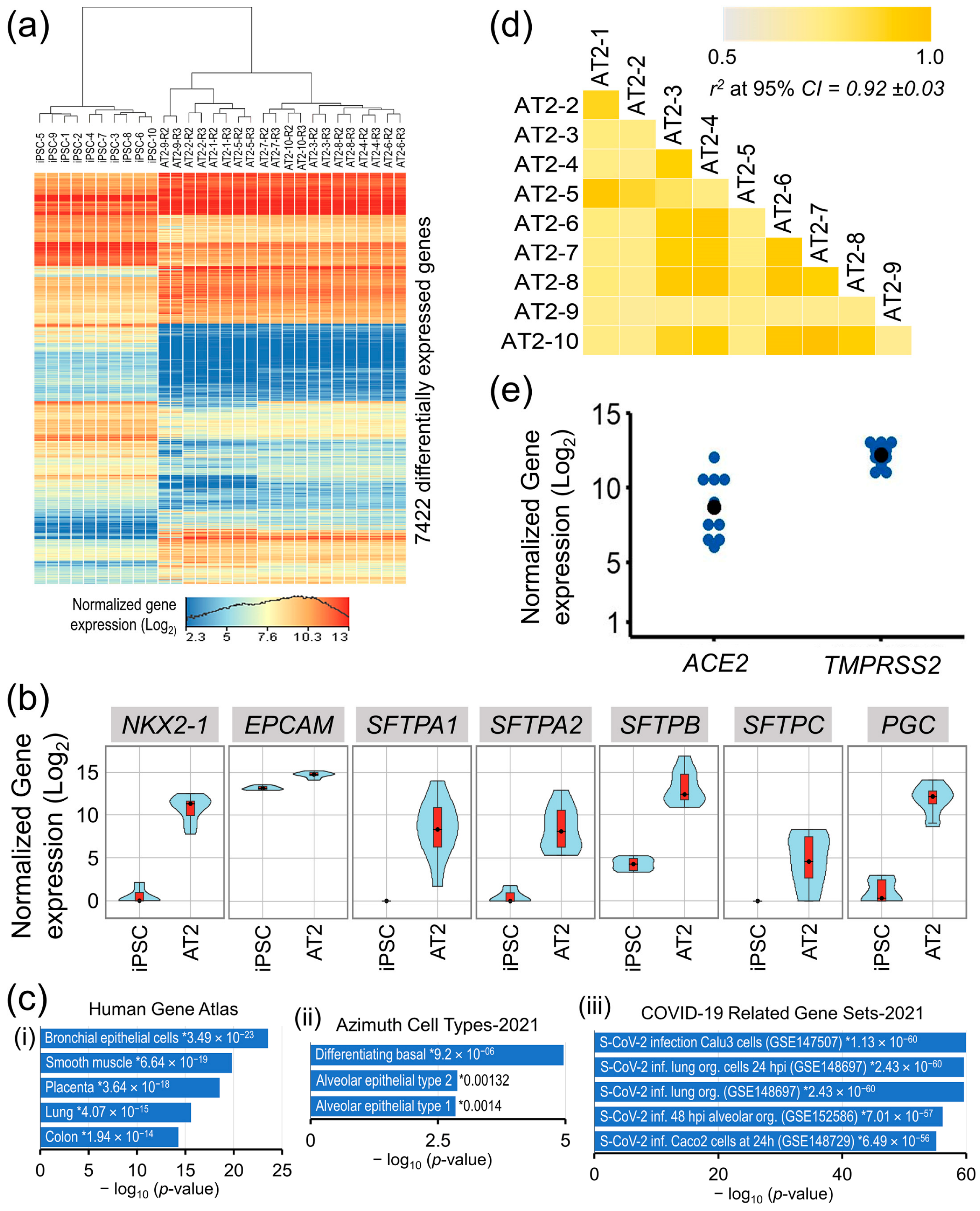 Cells 13 00369 g002 Cells 13 00369 g002