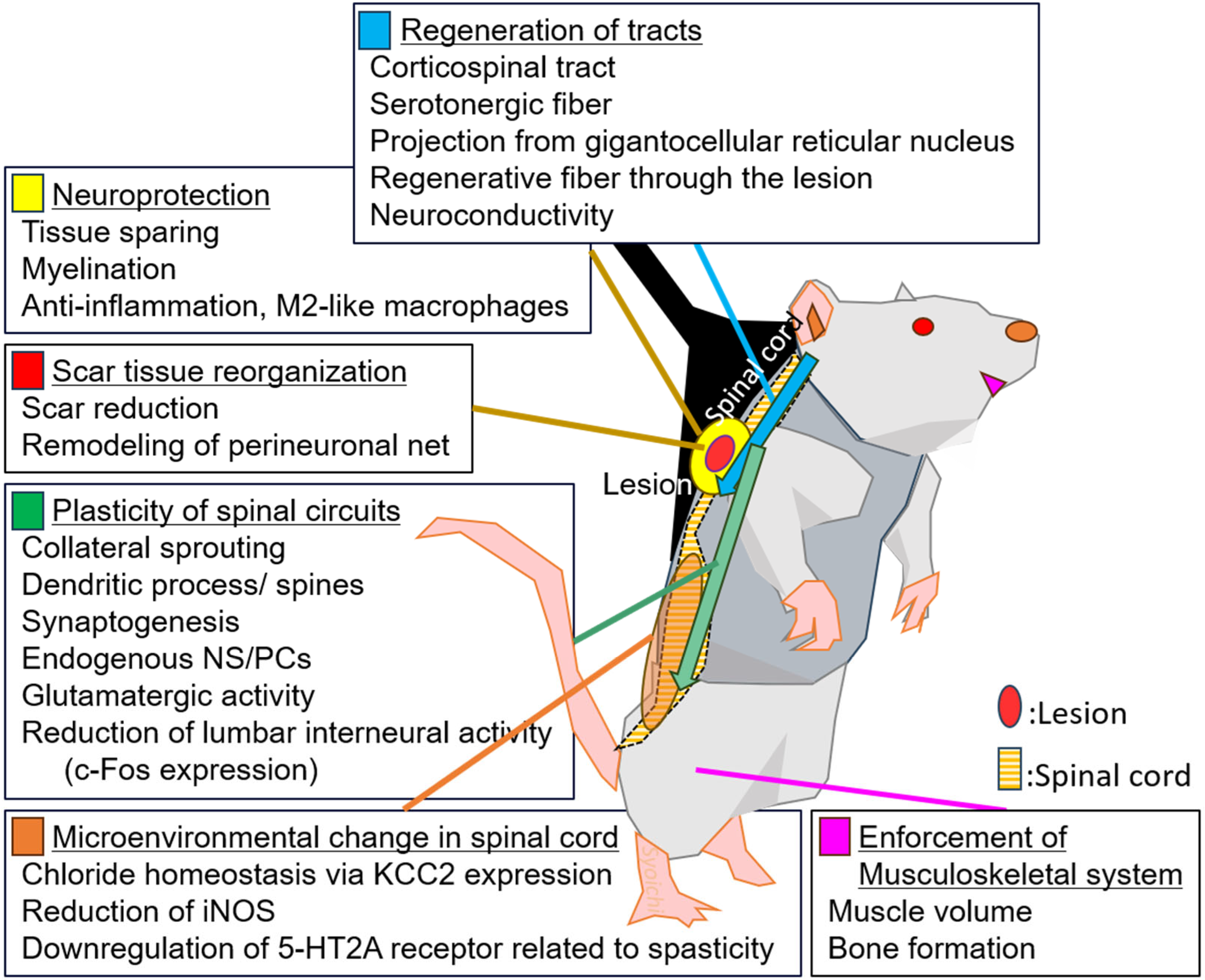 Cells 13 00412 g001 Cells 13 00412 g001
