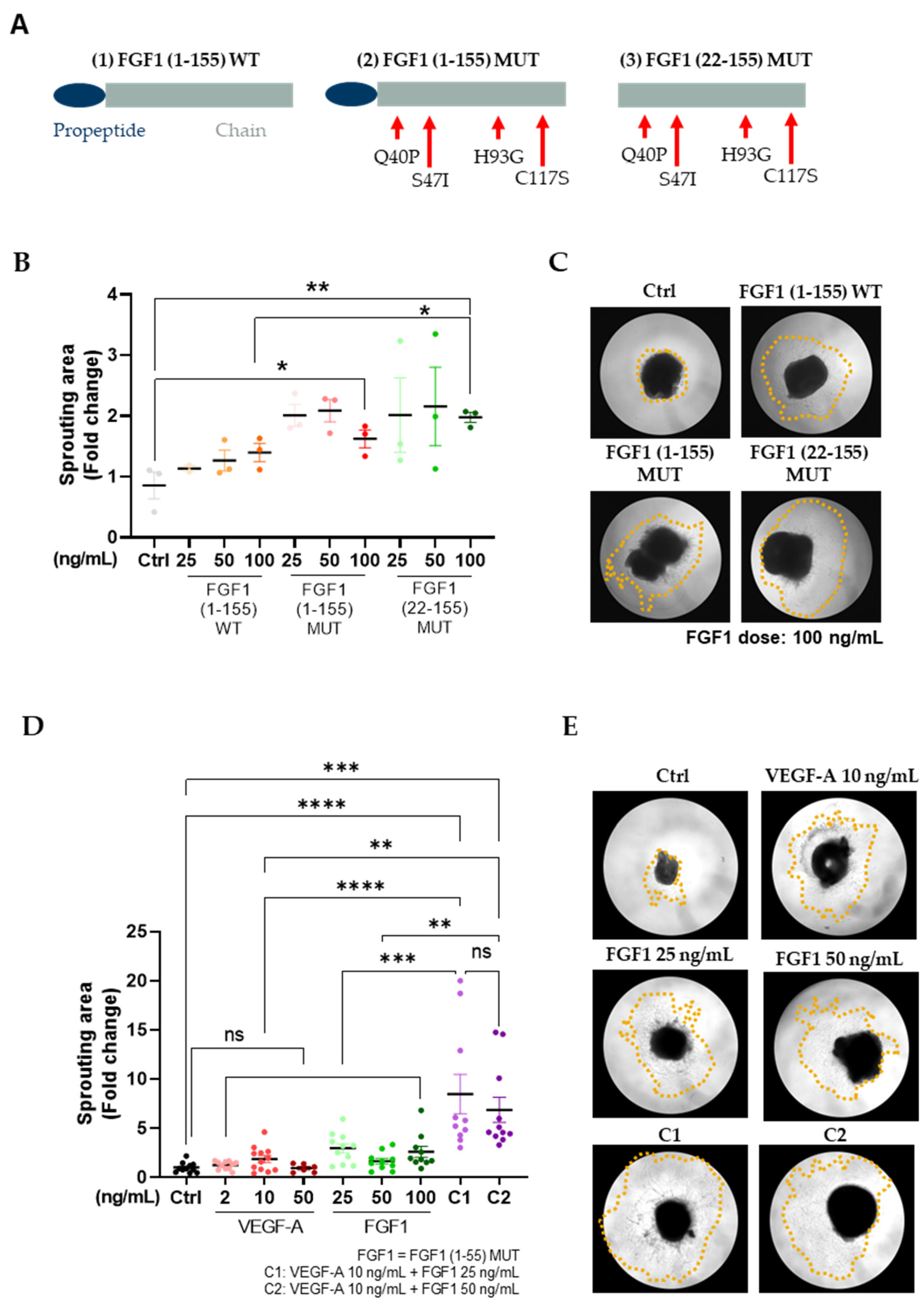 Cells 13 00414 g001 Cells 13 00414 g001