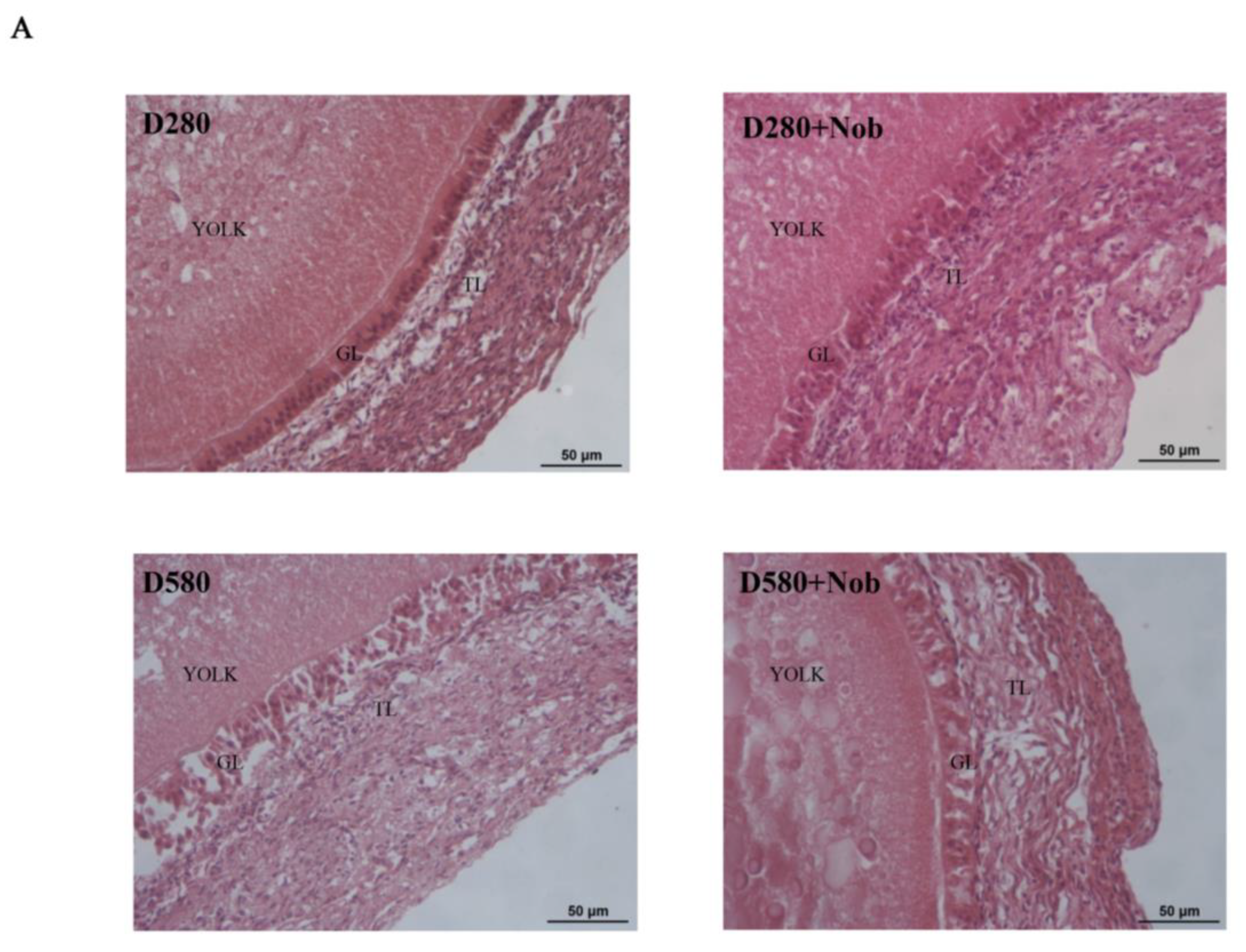 Cells 13 00415 g008a