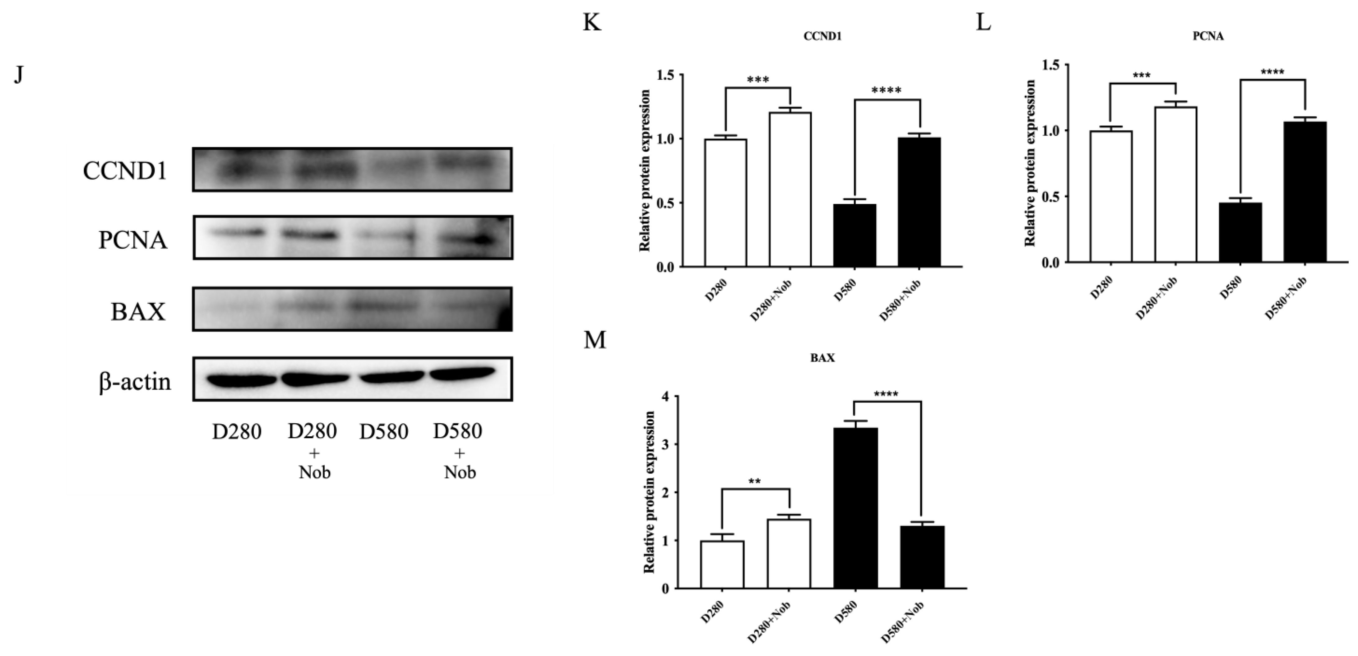 Cells 13 00415 g008c