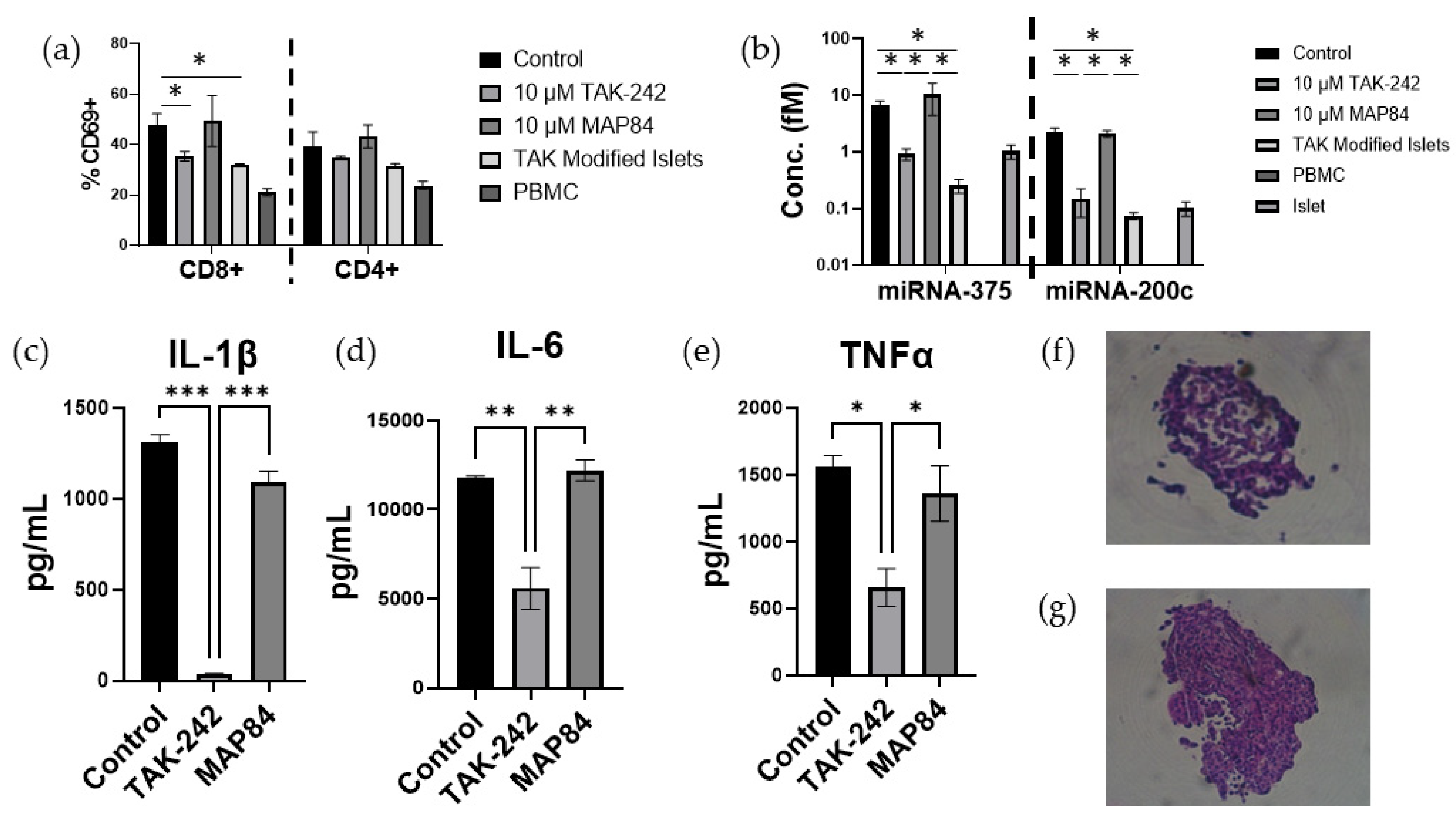 Cells 13 00416 g006 Cells 13 00416 g006