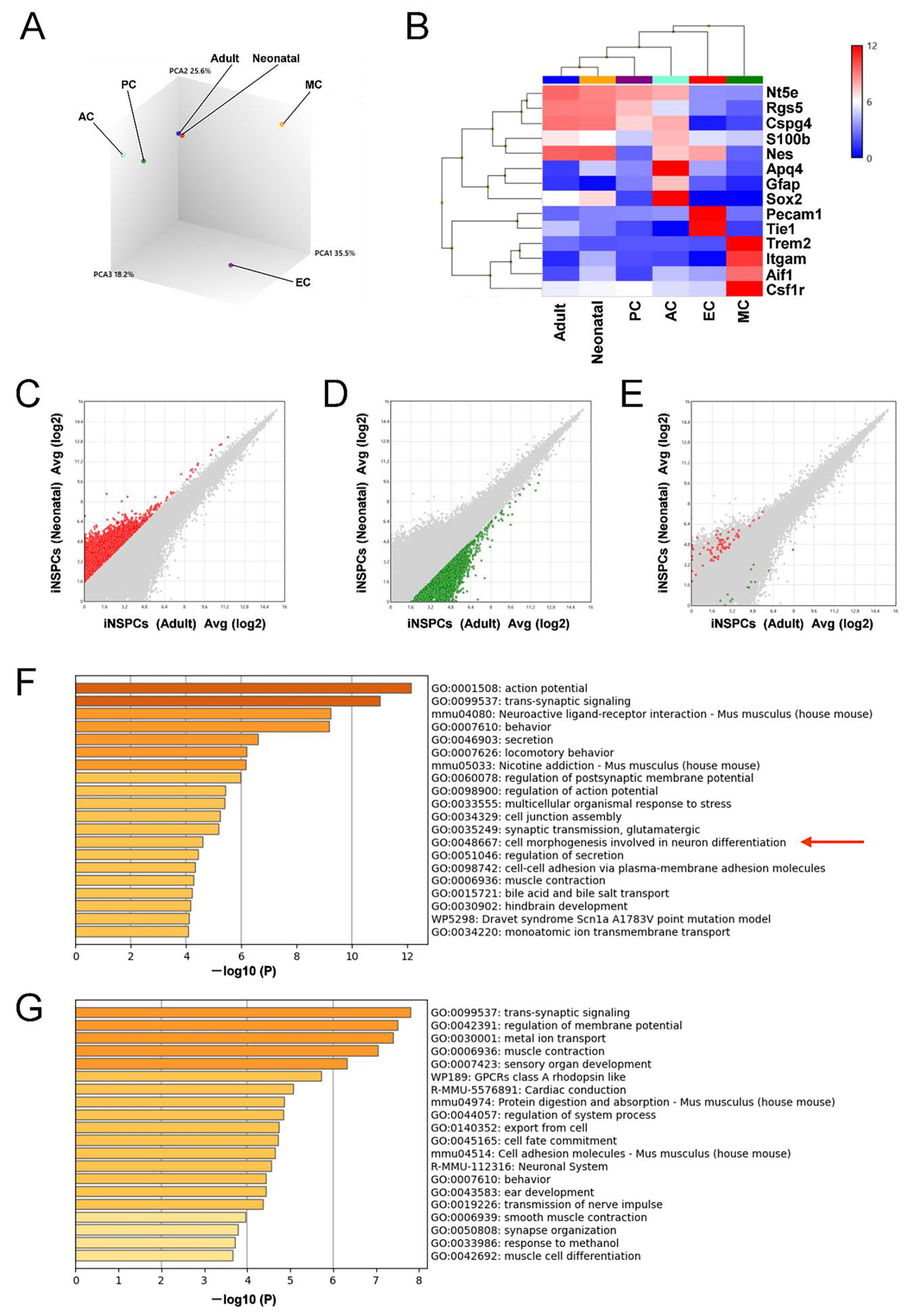 Cells 13 00519 g006 Cells 13 00519 g006