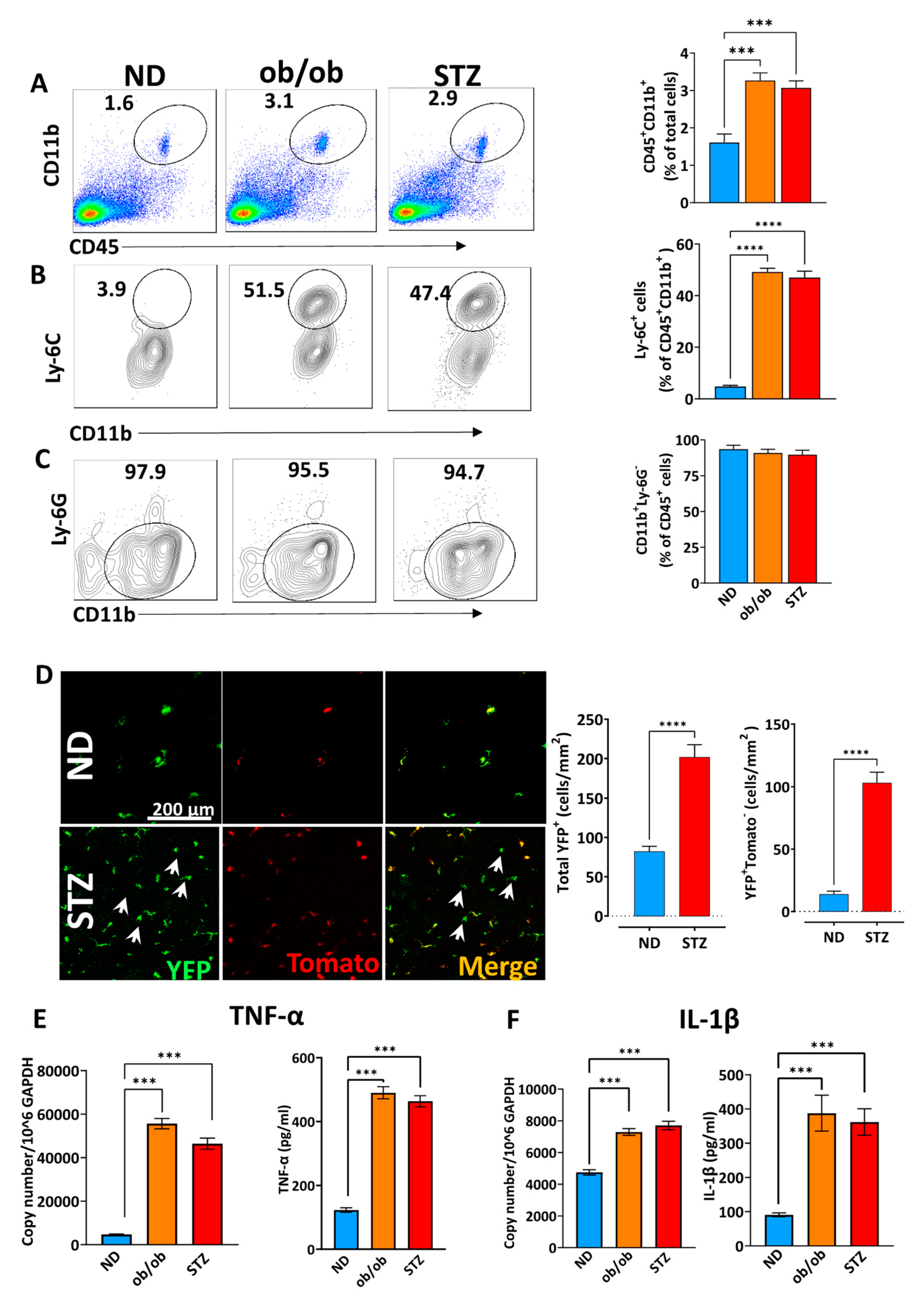 Cells 13 00532 g003 Cells 13 00532 g003