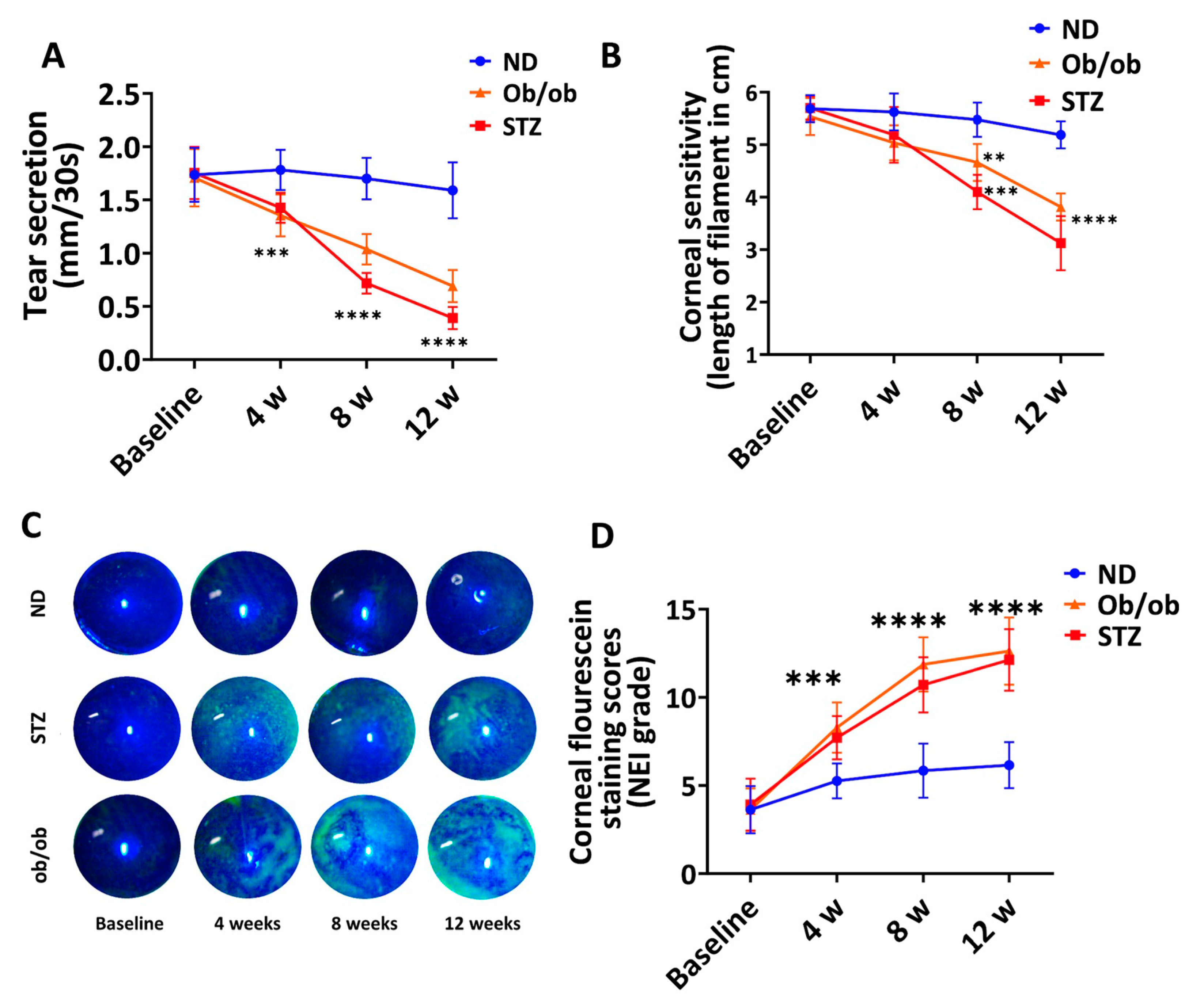 Cells 13 00532 g006 Cells 13 00532 g006