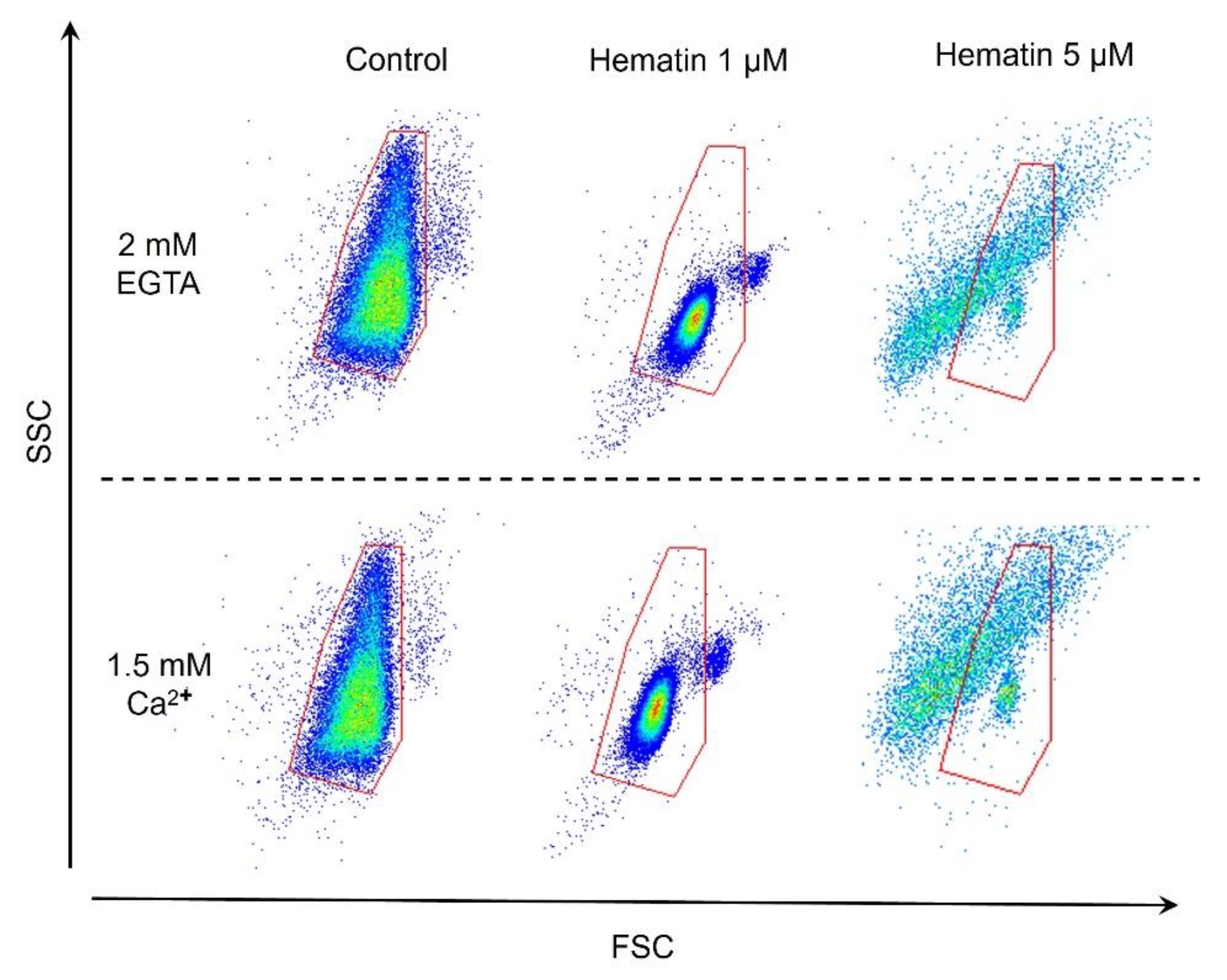 Cells 13 00554 g013 Cells 13 00554 g013