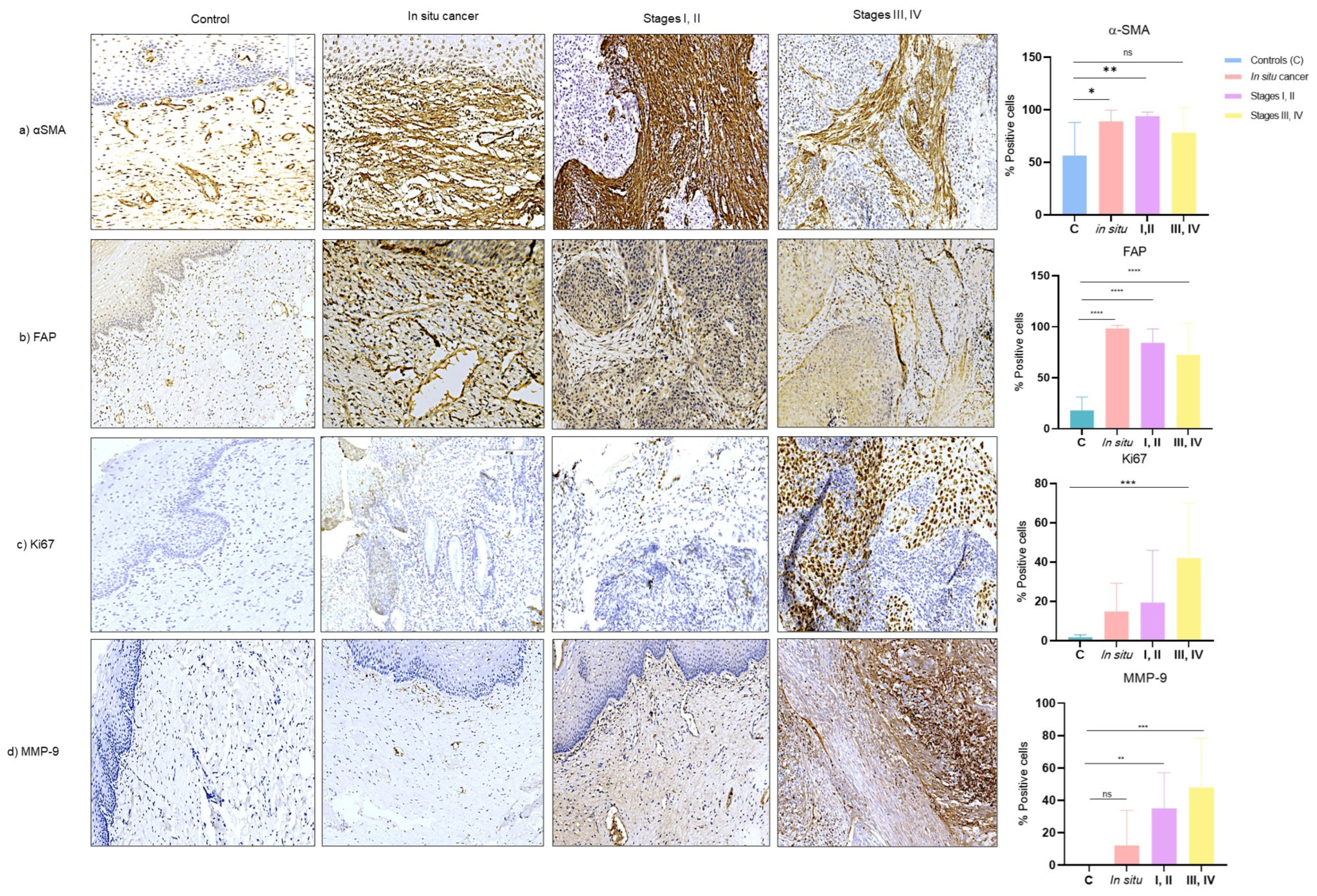 Cells 13 00560 g005