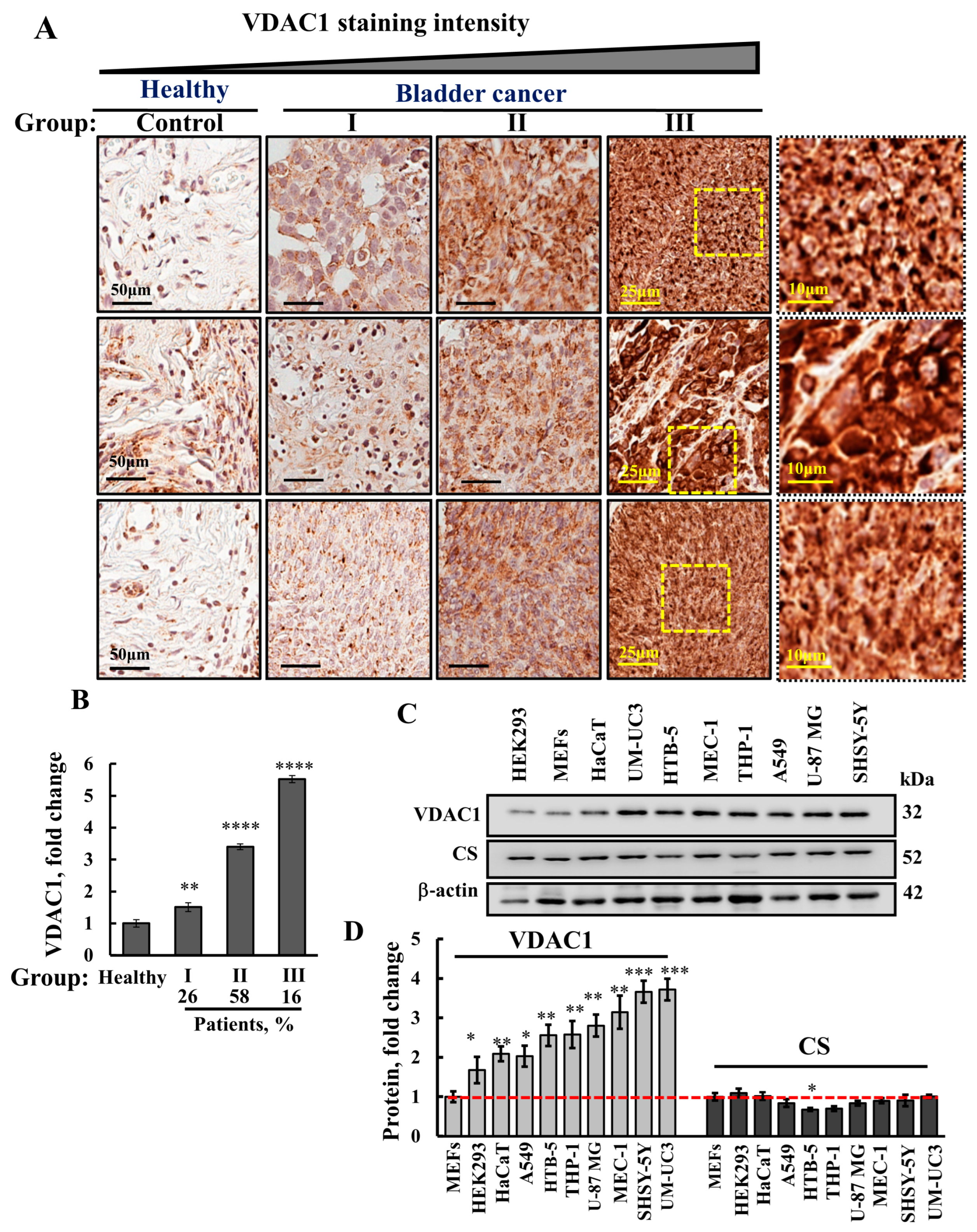 Cells 13 00627 g001 Cells 13 00627 g001