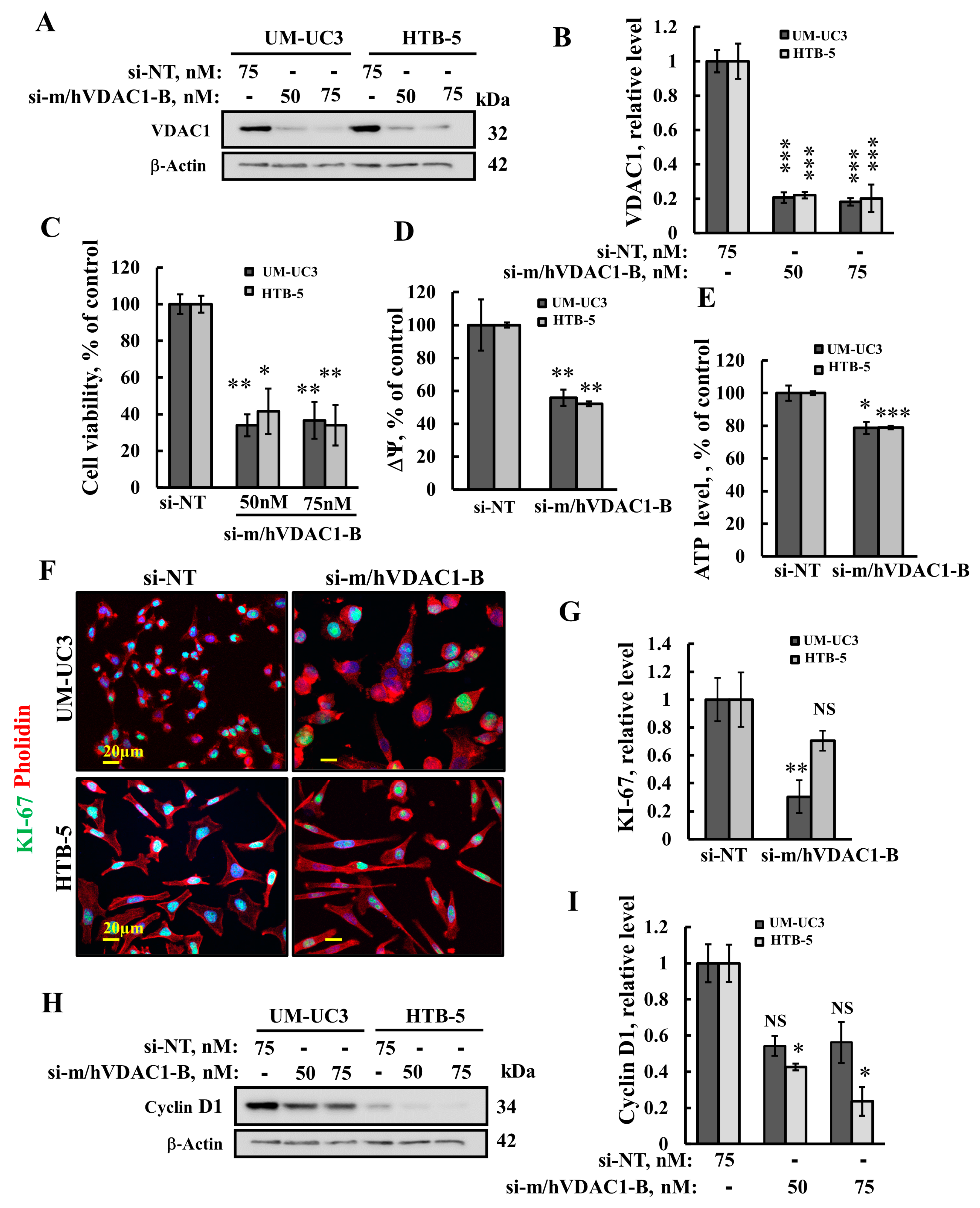 Cells 13 00627 g002 Cells 13 00627 g002