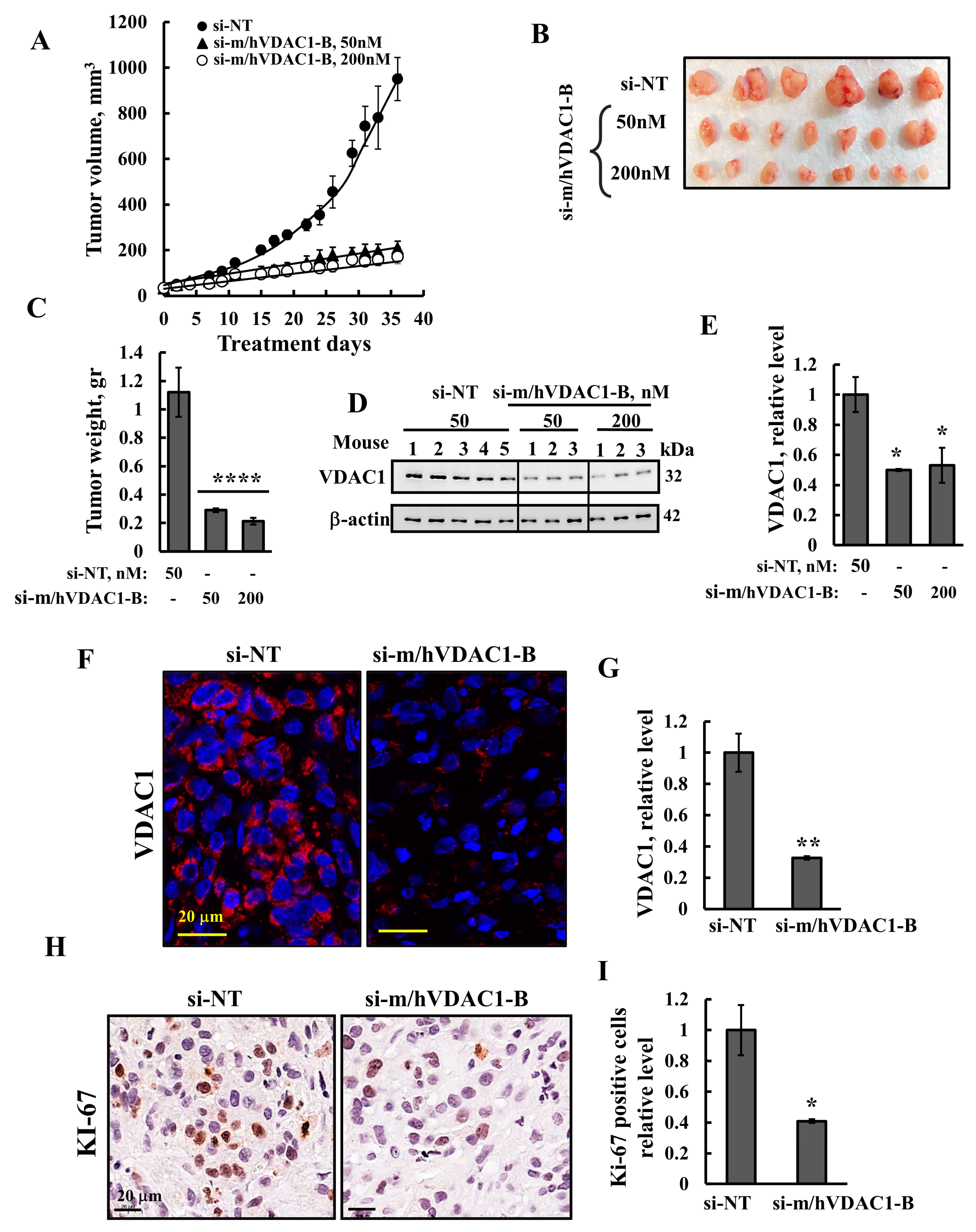 Cells 13 00627 g003 Cells 13 00627 g003