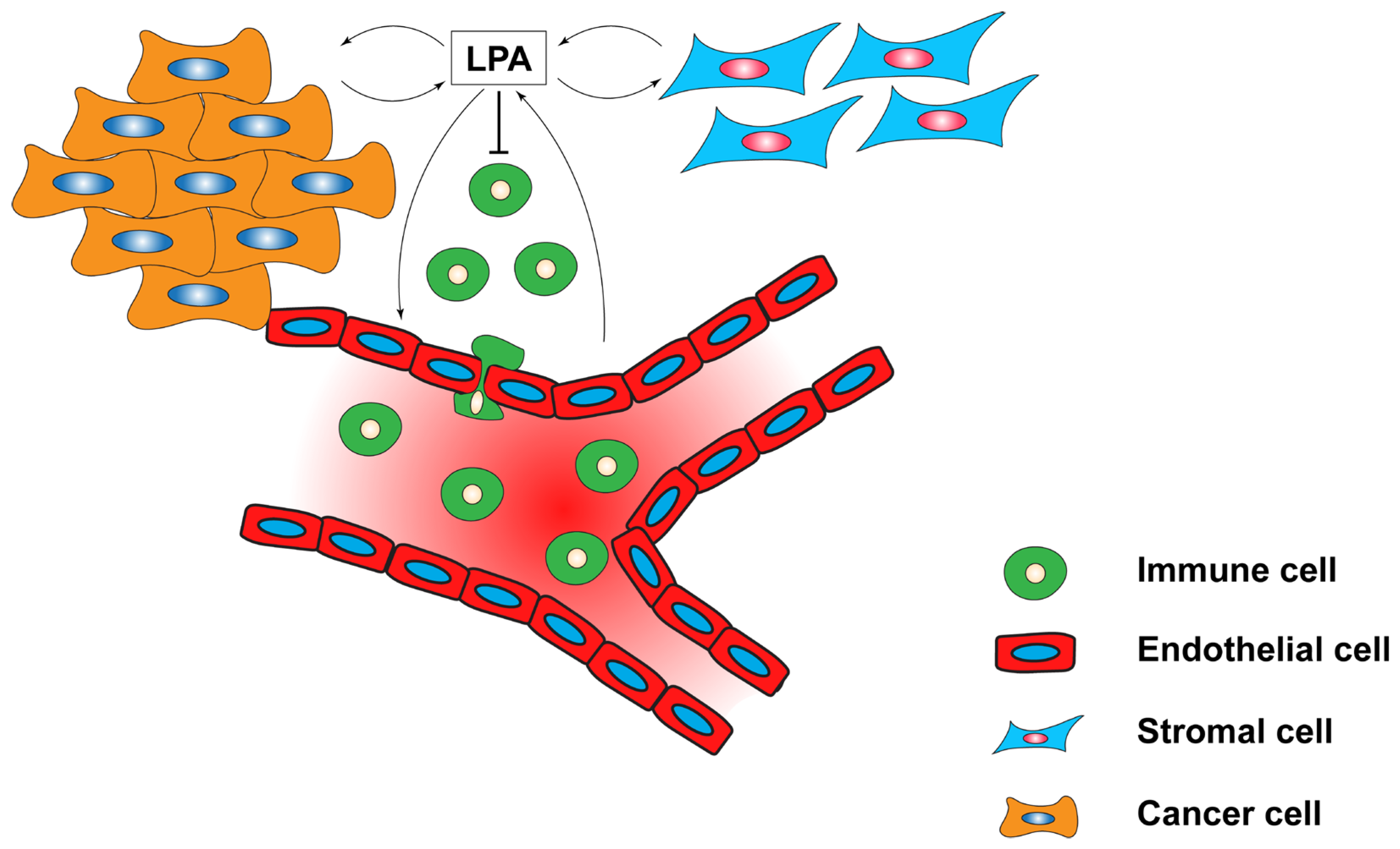 Cells 13 00629 g003 Cells 13 00629 g003