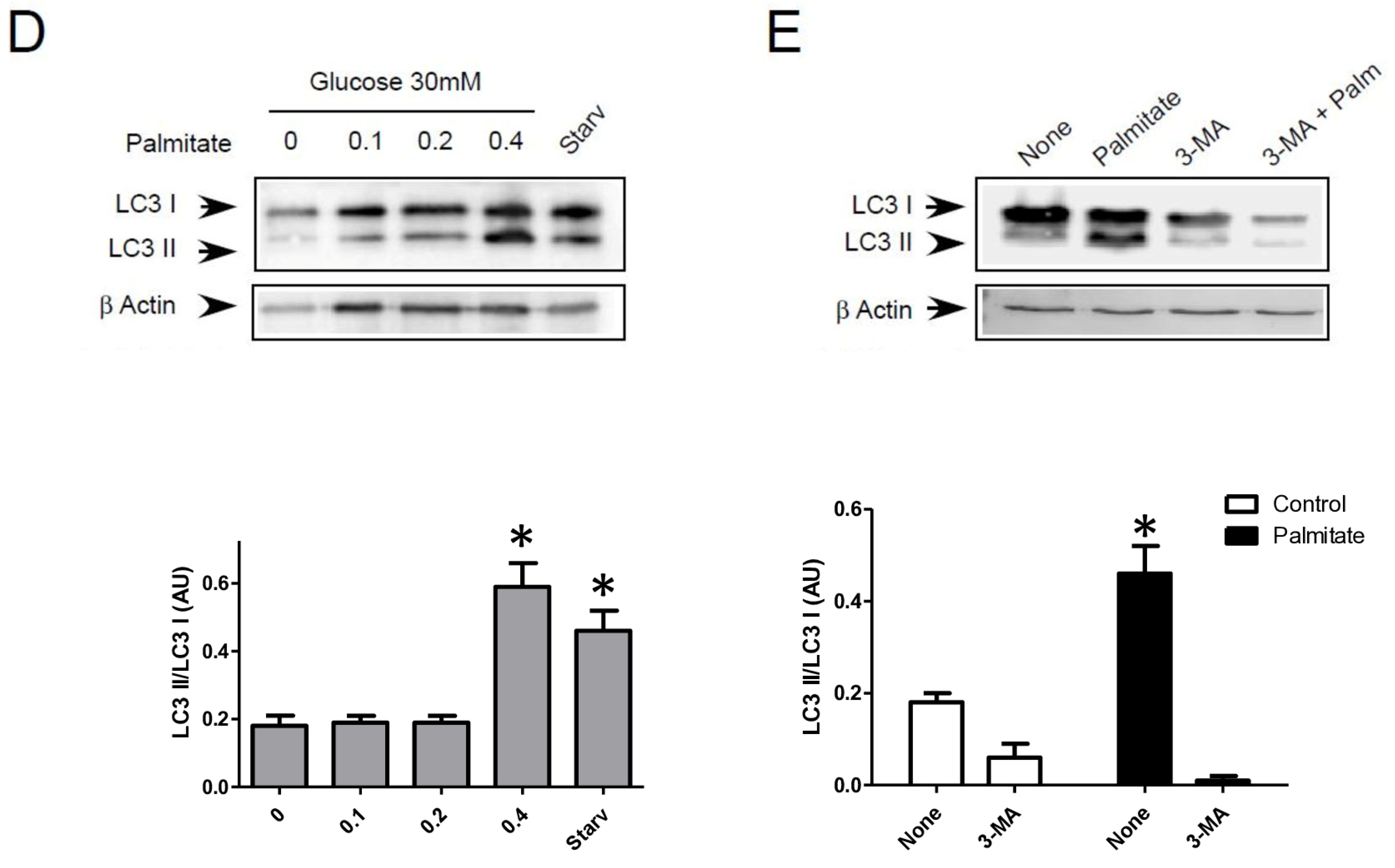 Cells 13 00636 g001b