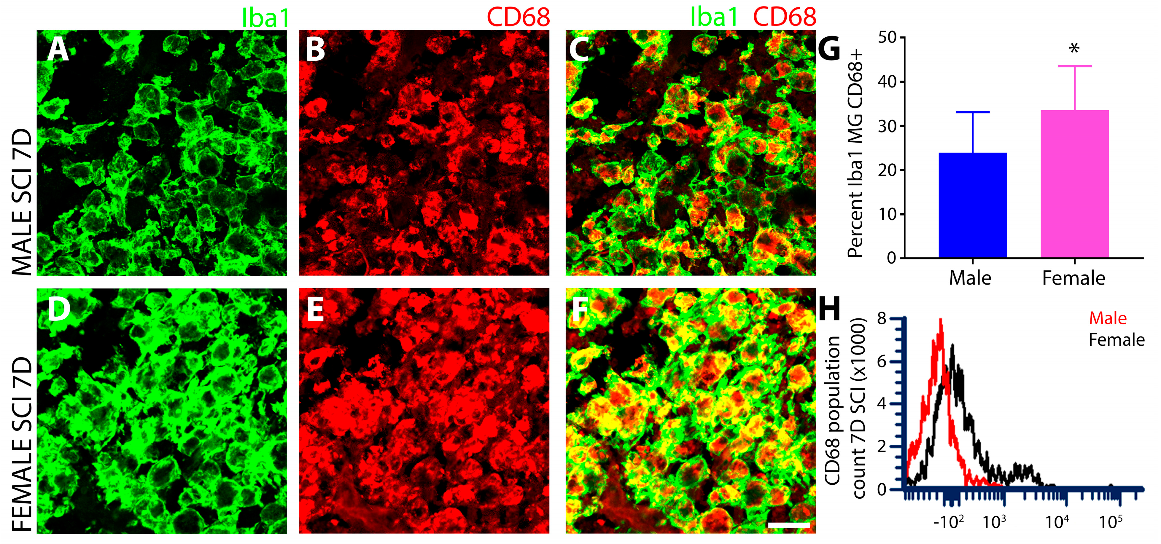 Cells 13 00645 g006 Cells 13 00645 g006