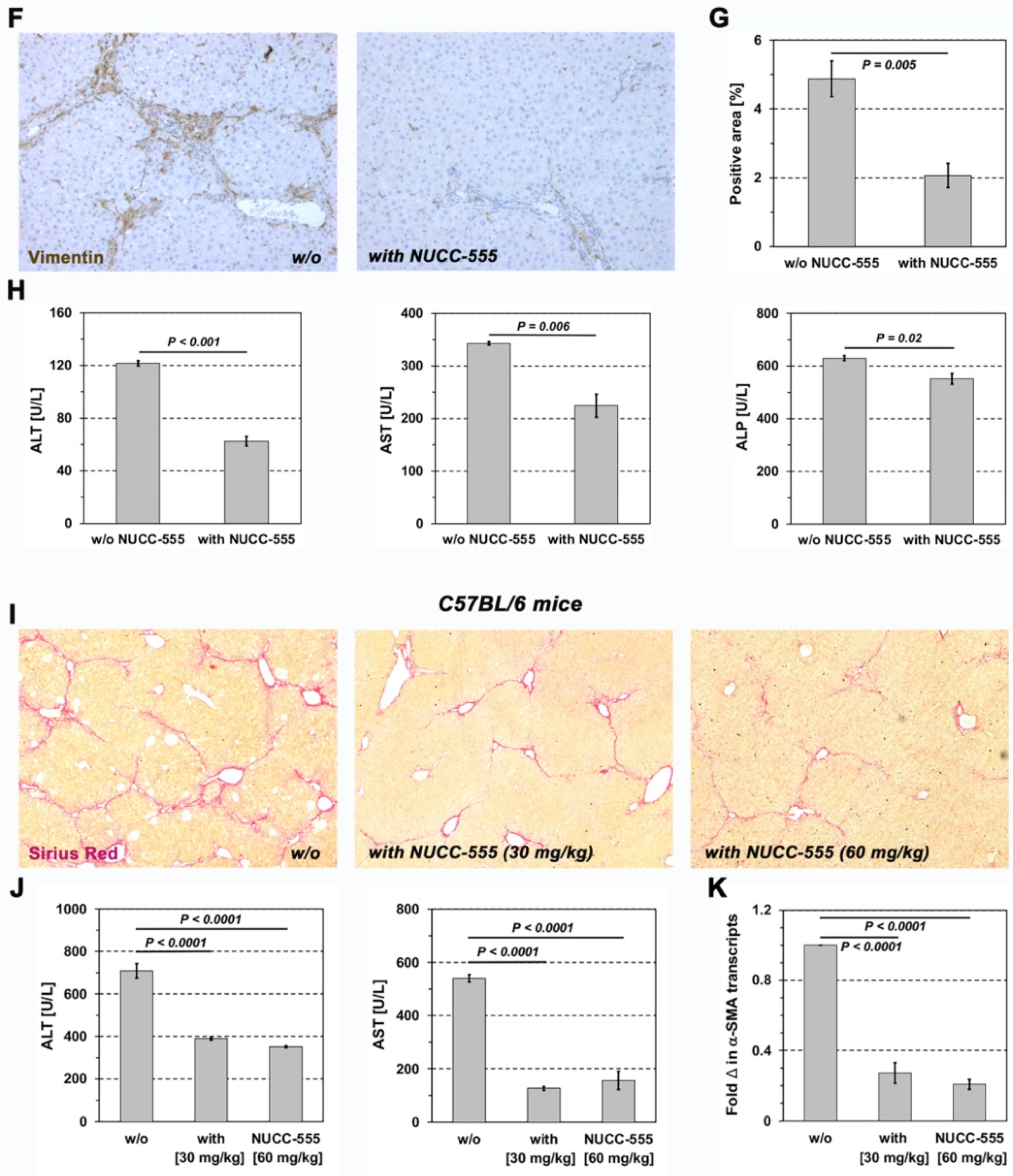Cells 13 00649 g005b