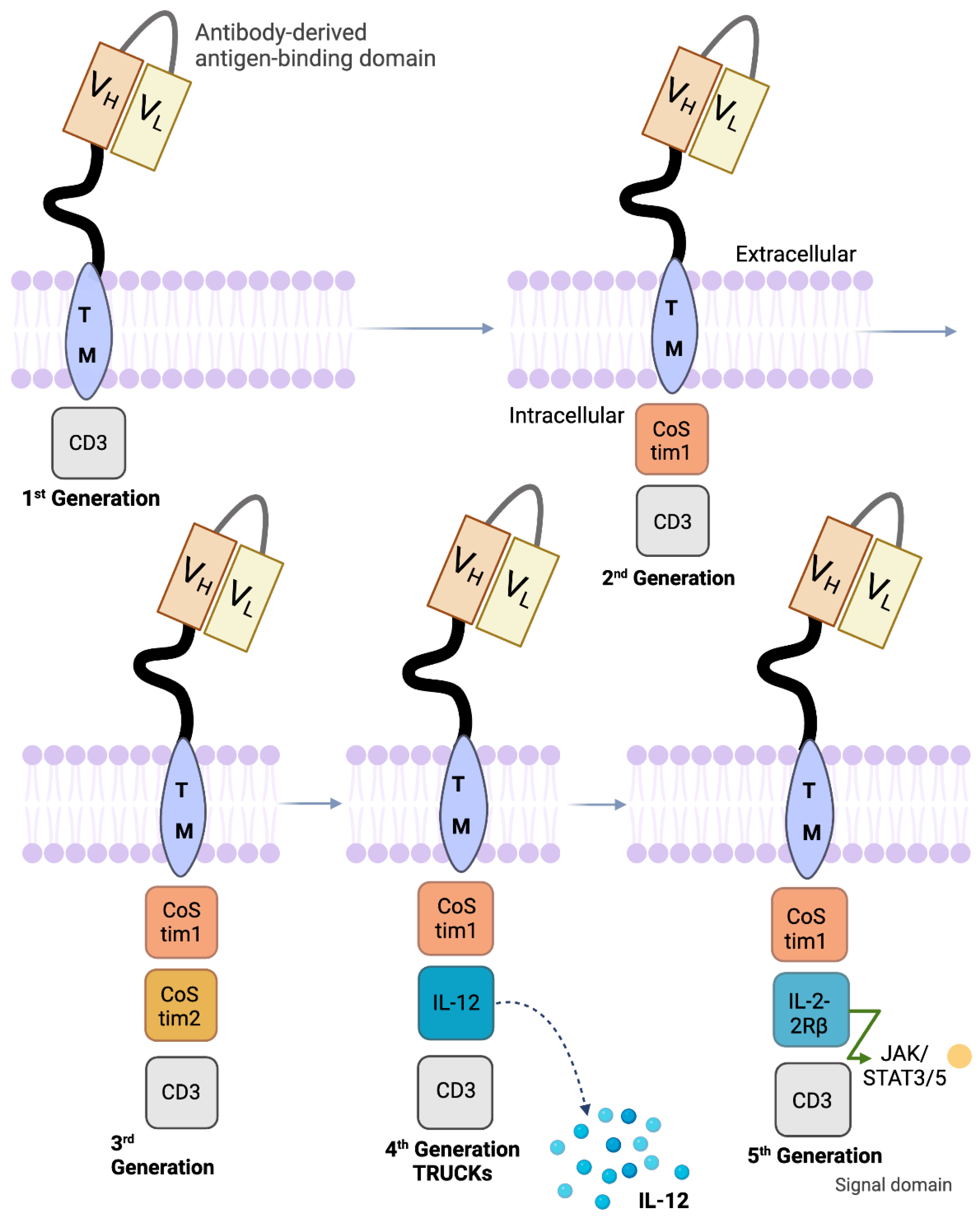 Cells 13 00662 g002 Cells 13 00662 g002