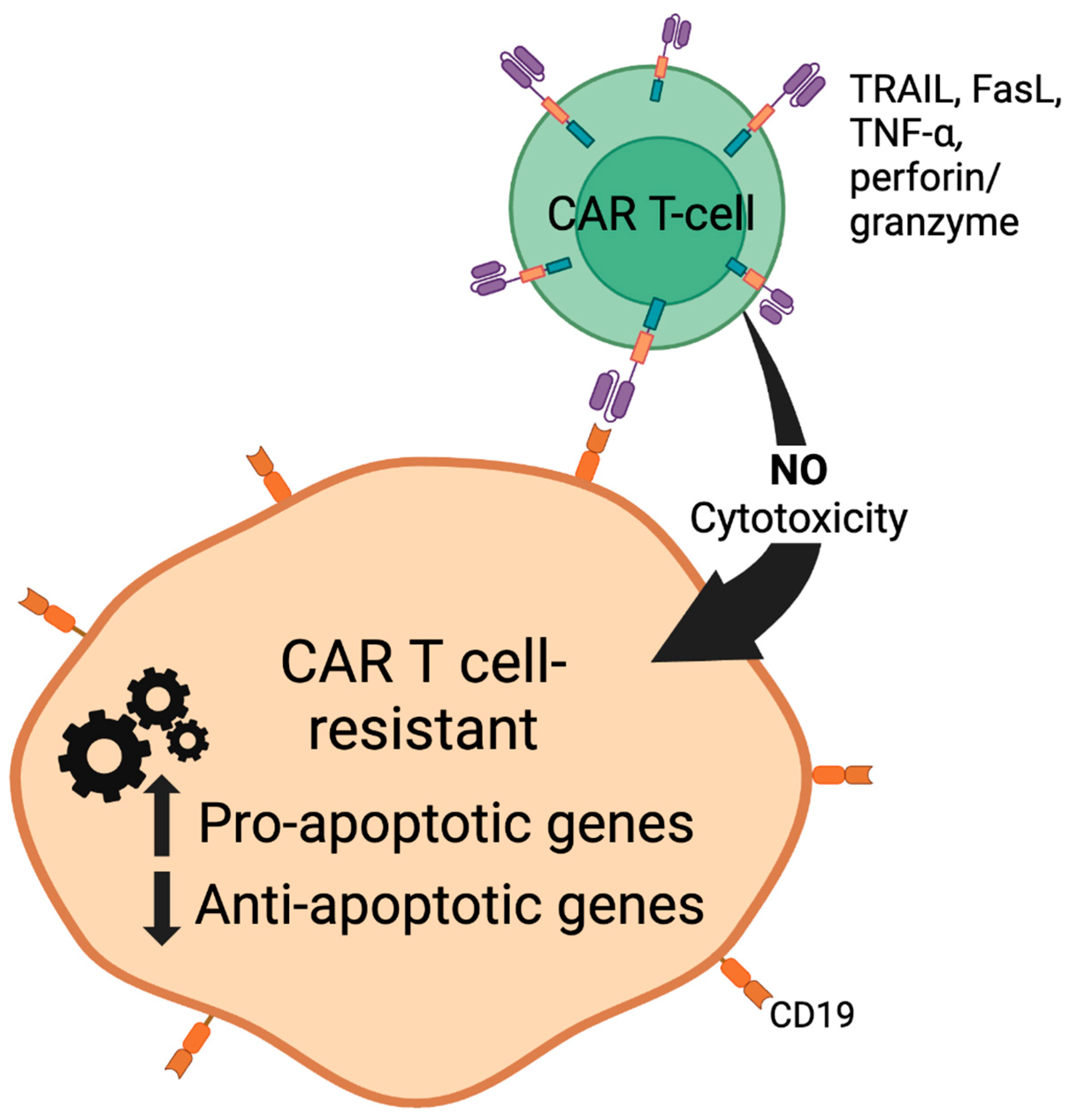 Cells 13 00662 g003 Cells 13 00662 g003