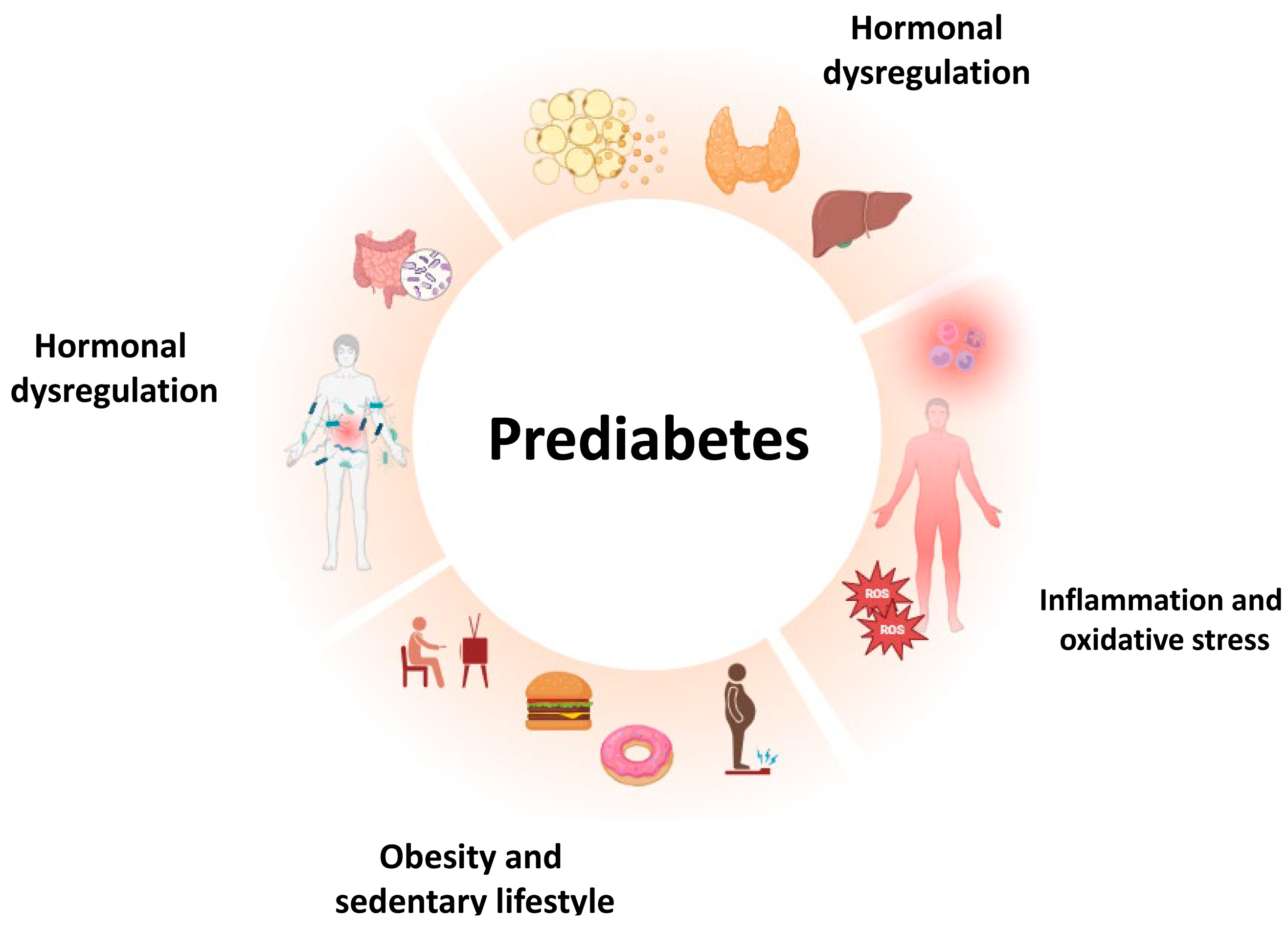 Metabolic Alteration Bridging the Prediabetic State and Colorectal ...