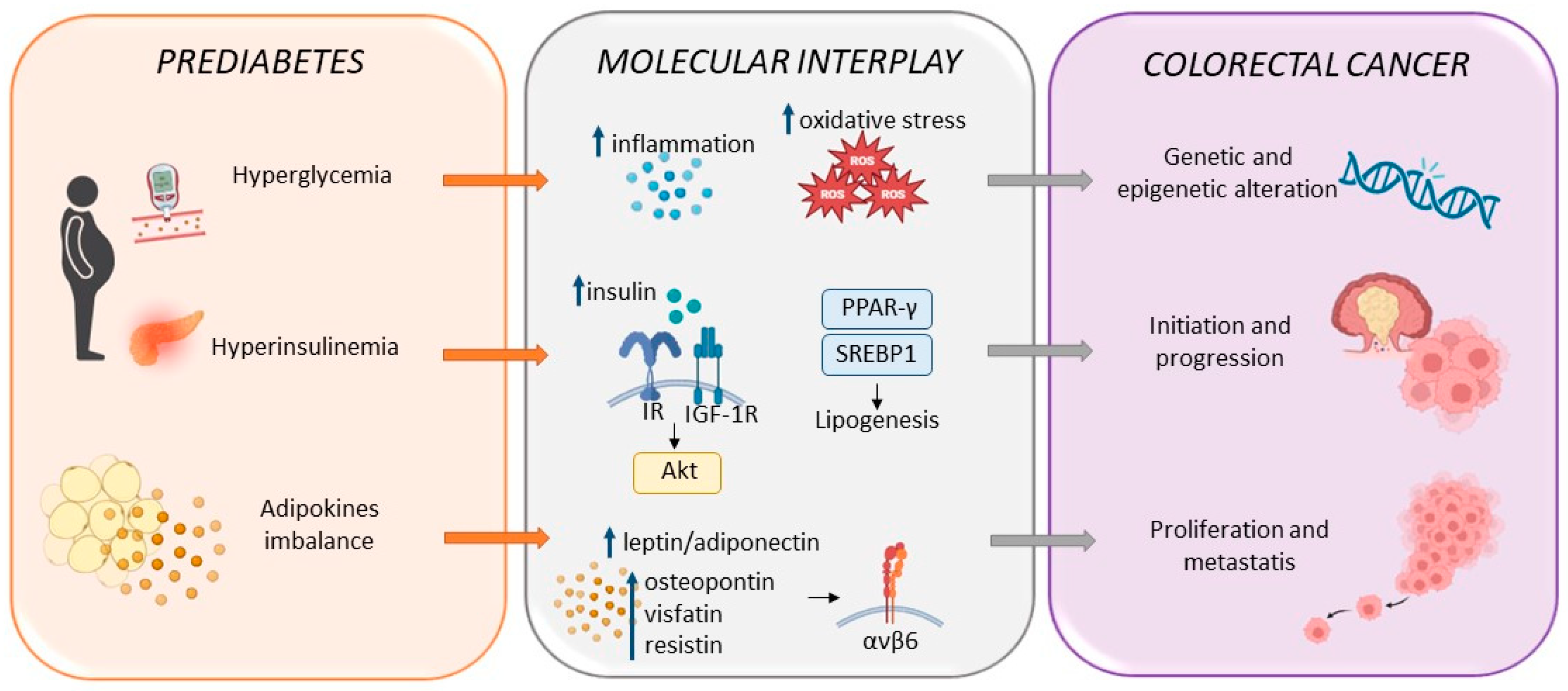 Cells 13 00663 g002 Cells 13 00663 g002