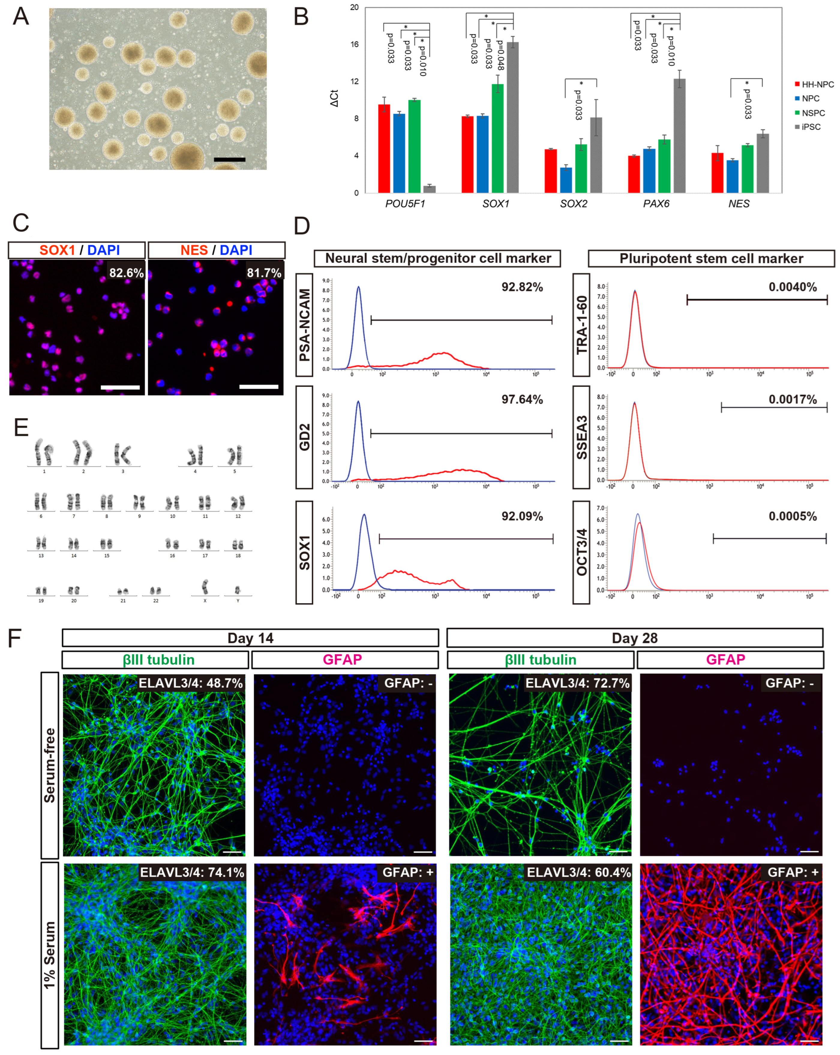 Cells 13 00671 g001 Cells 13 00671 g001