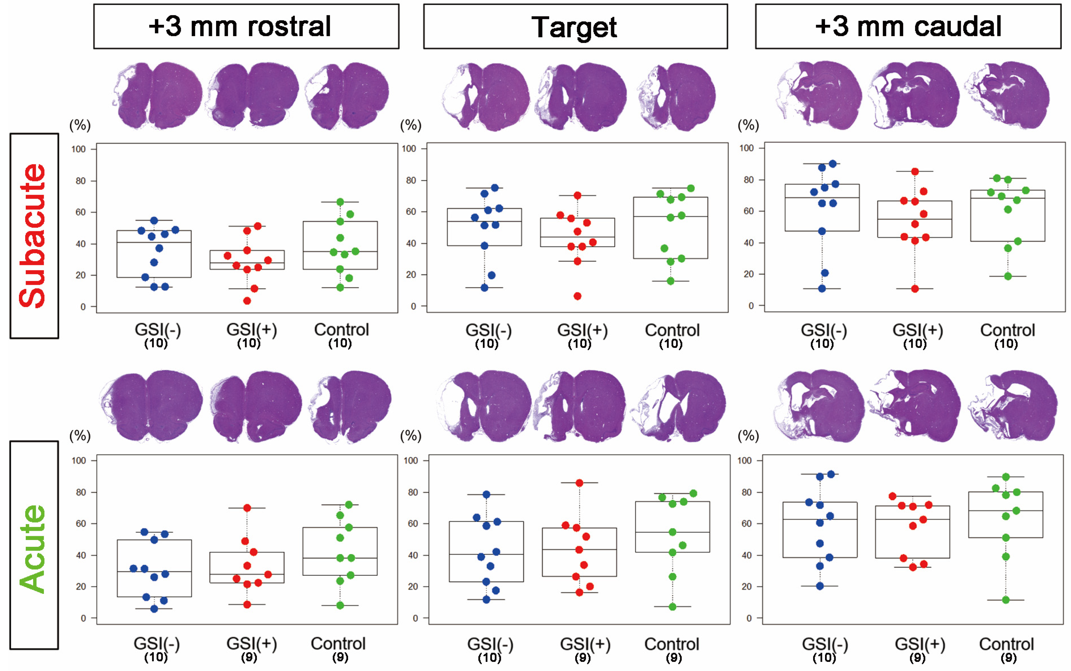 Cells 13 00671 g002 Cells 13 00671 g002