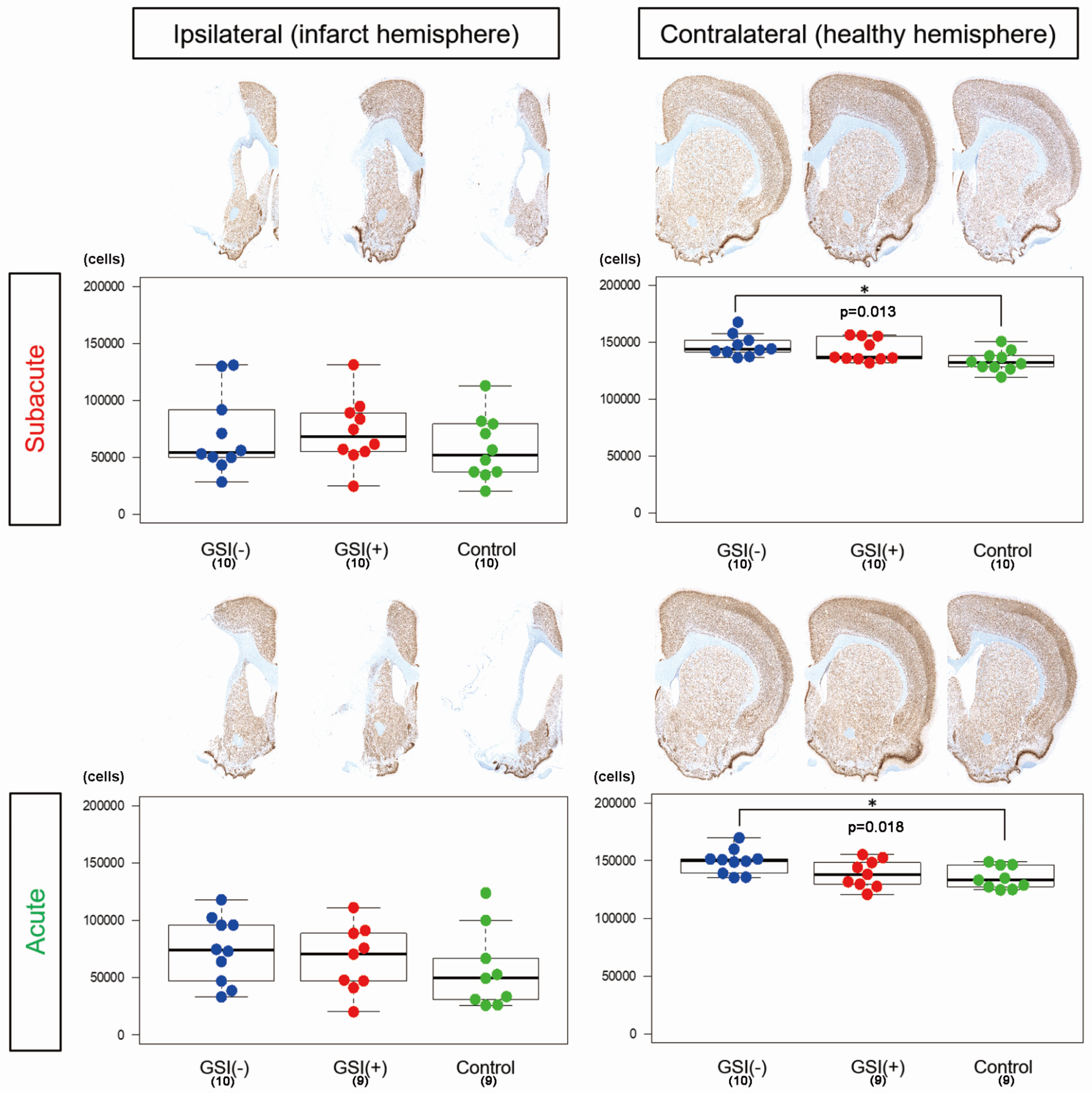 Cells 13 00671 g003 Cells 13 00671 g003